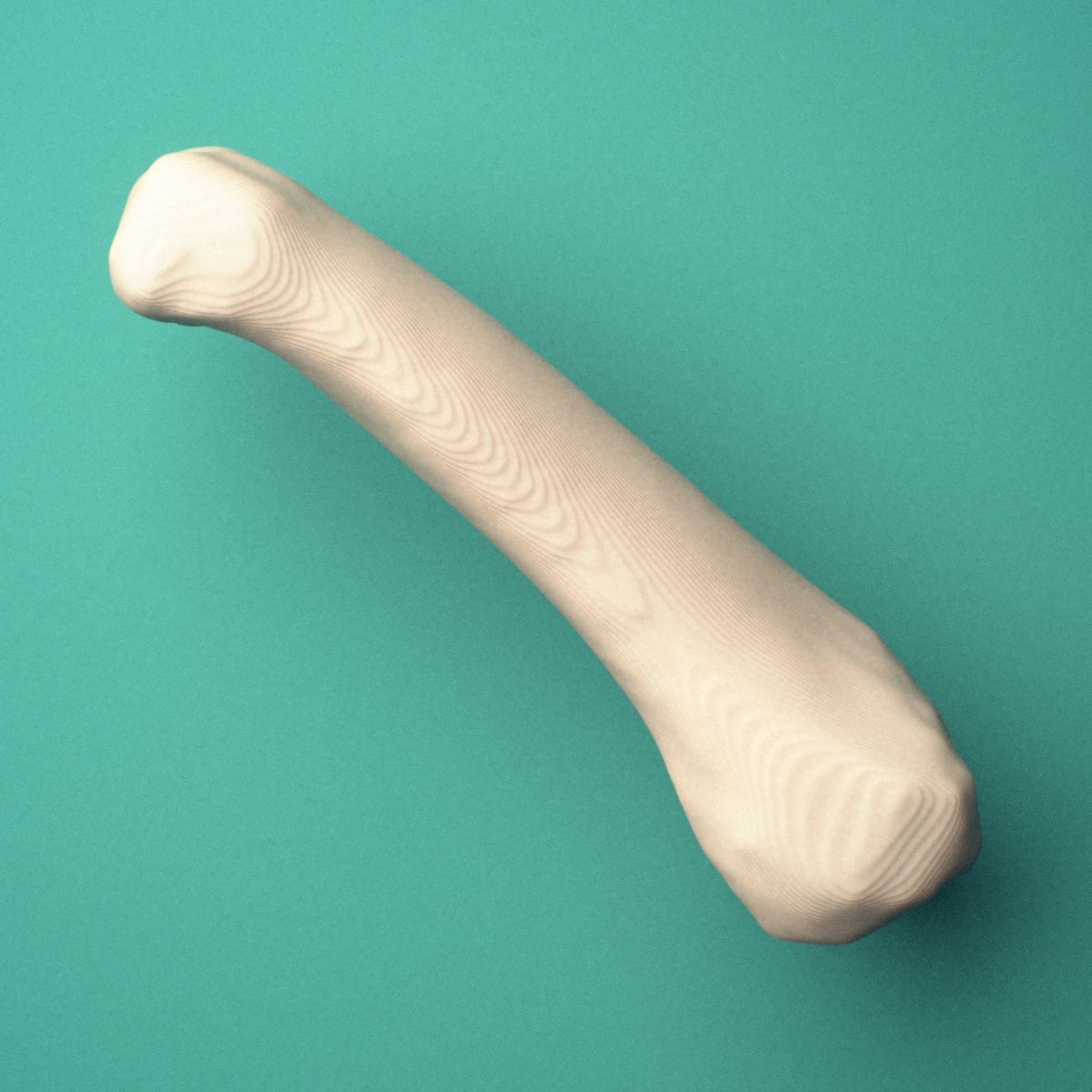 3D-printed Right middle finger proximal phalanx, oblique view showing the base and head (trochlea).