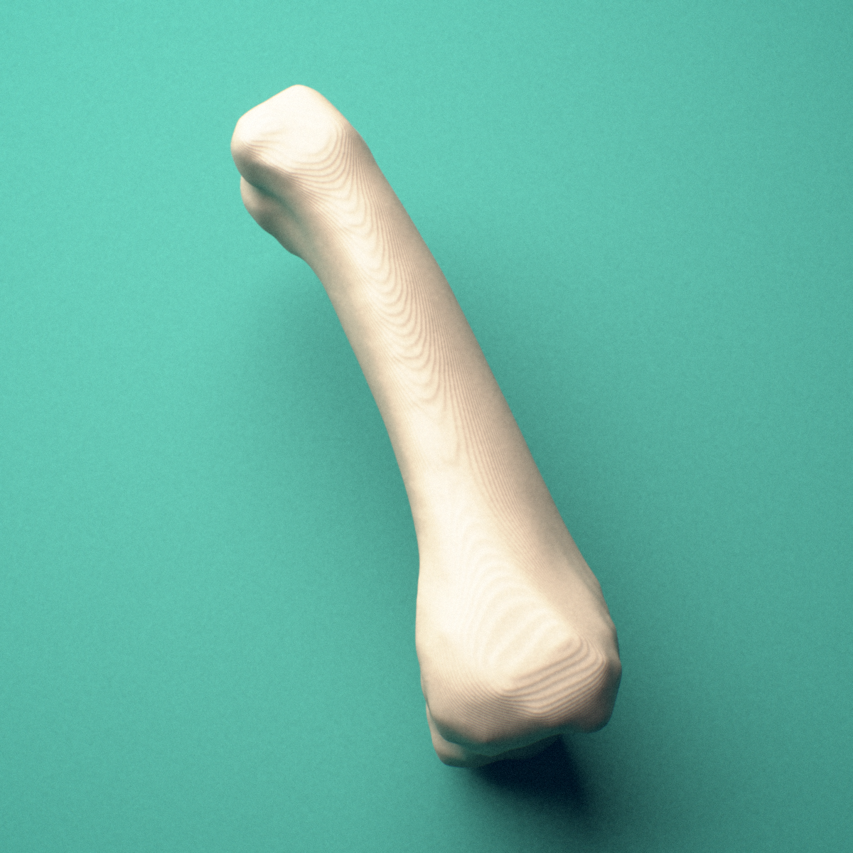 3D-printed Right middle finger proximal phalanx, close-up view showing the head (trochlea).