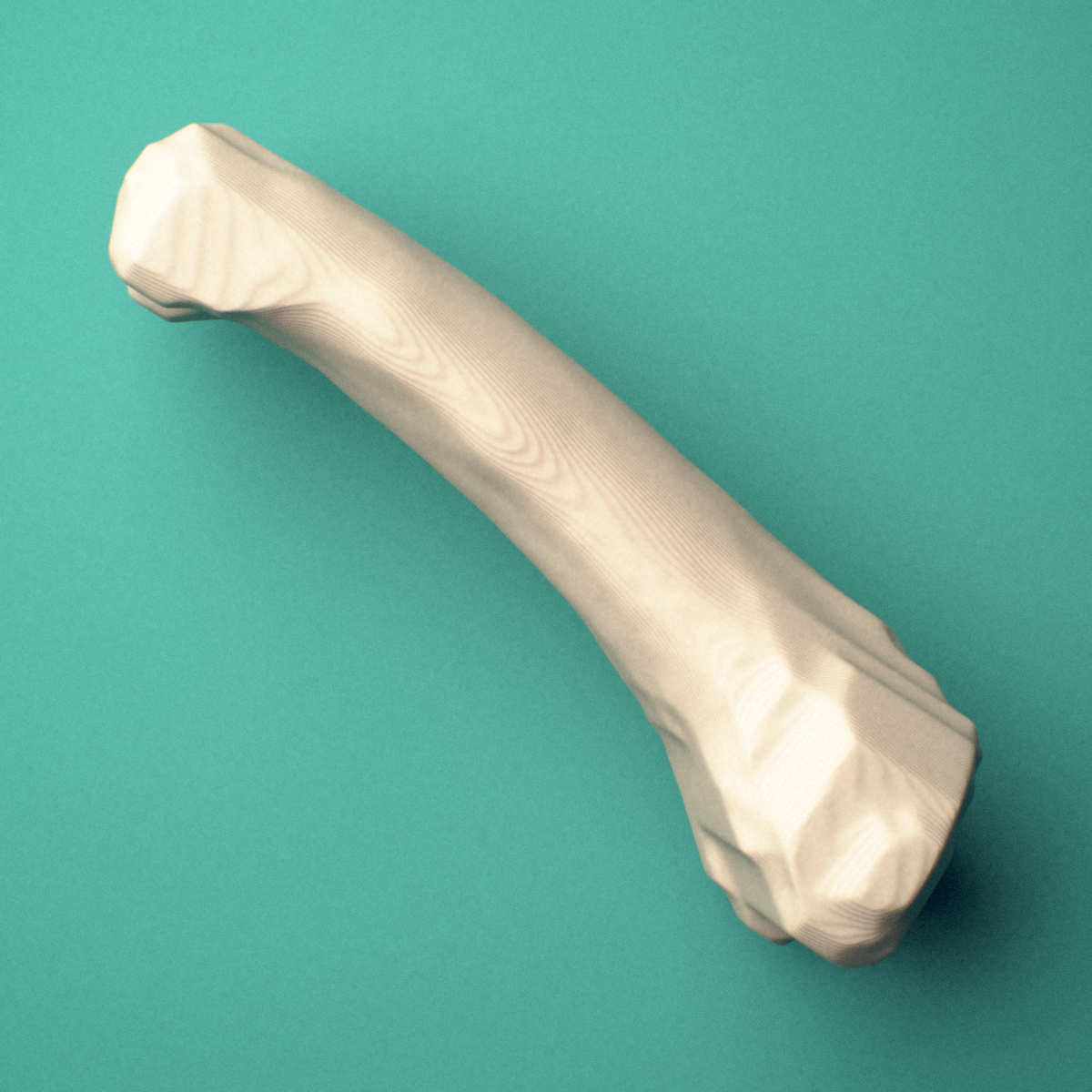 3D-printed Left ring finger proximal phalanx, oblique view showing the base and head (trochlea).