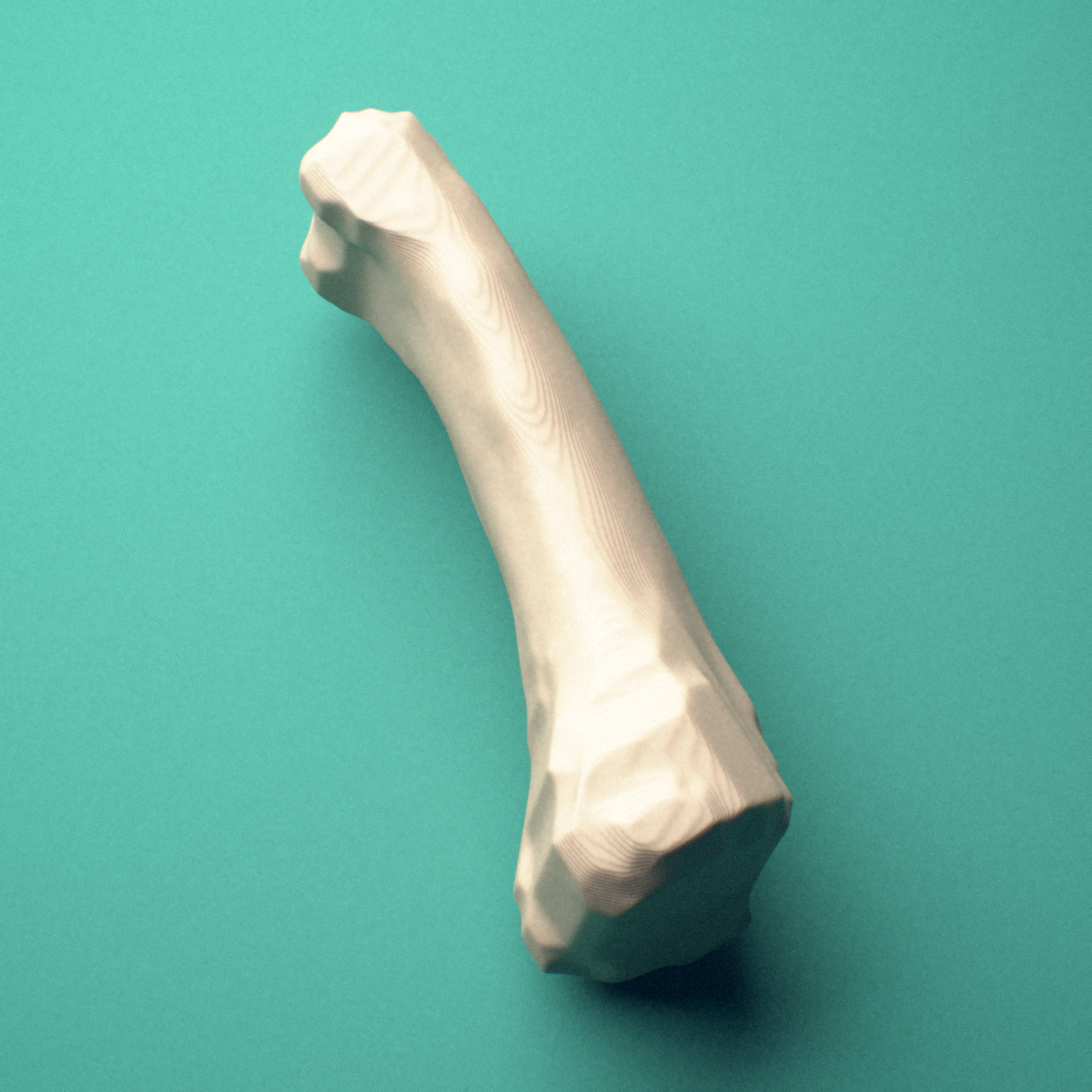 3D-printed Left ring finger proximal phalanx, close-up view showing the head (trochlea).