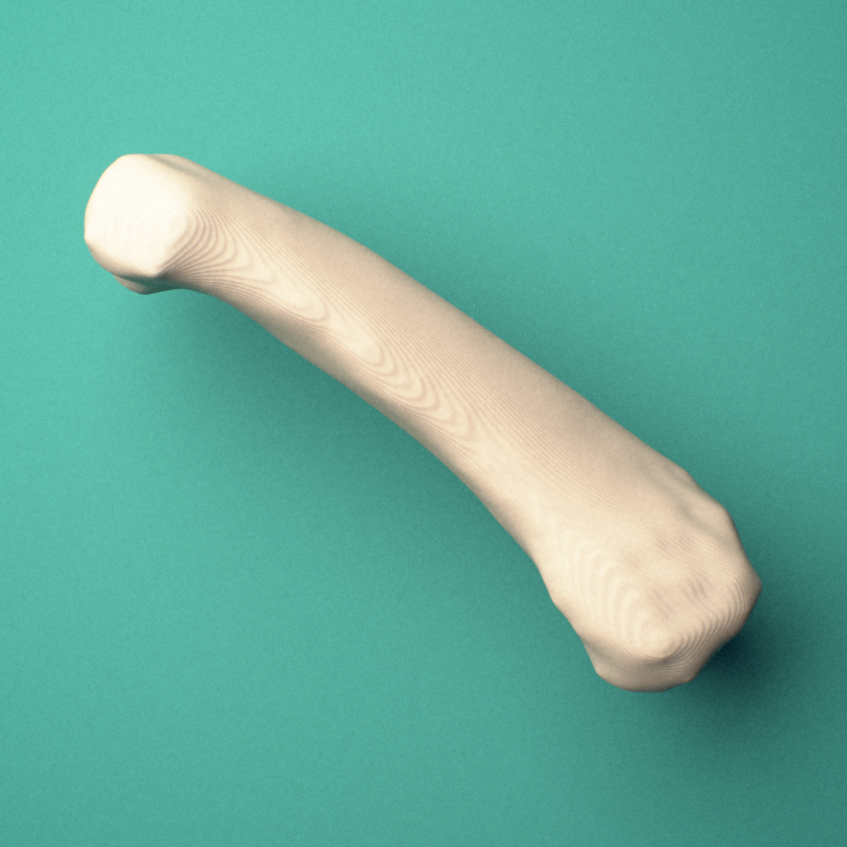 3D-printed Right ring finger proximal phalanx, oblique view showing the base and head (trochlea).