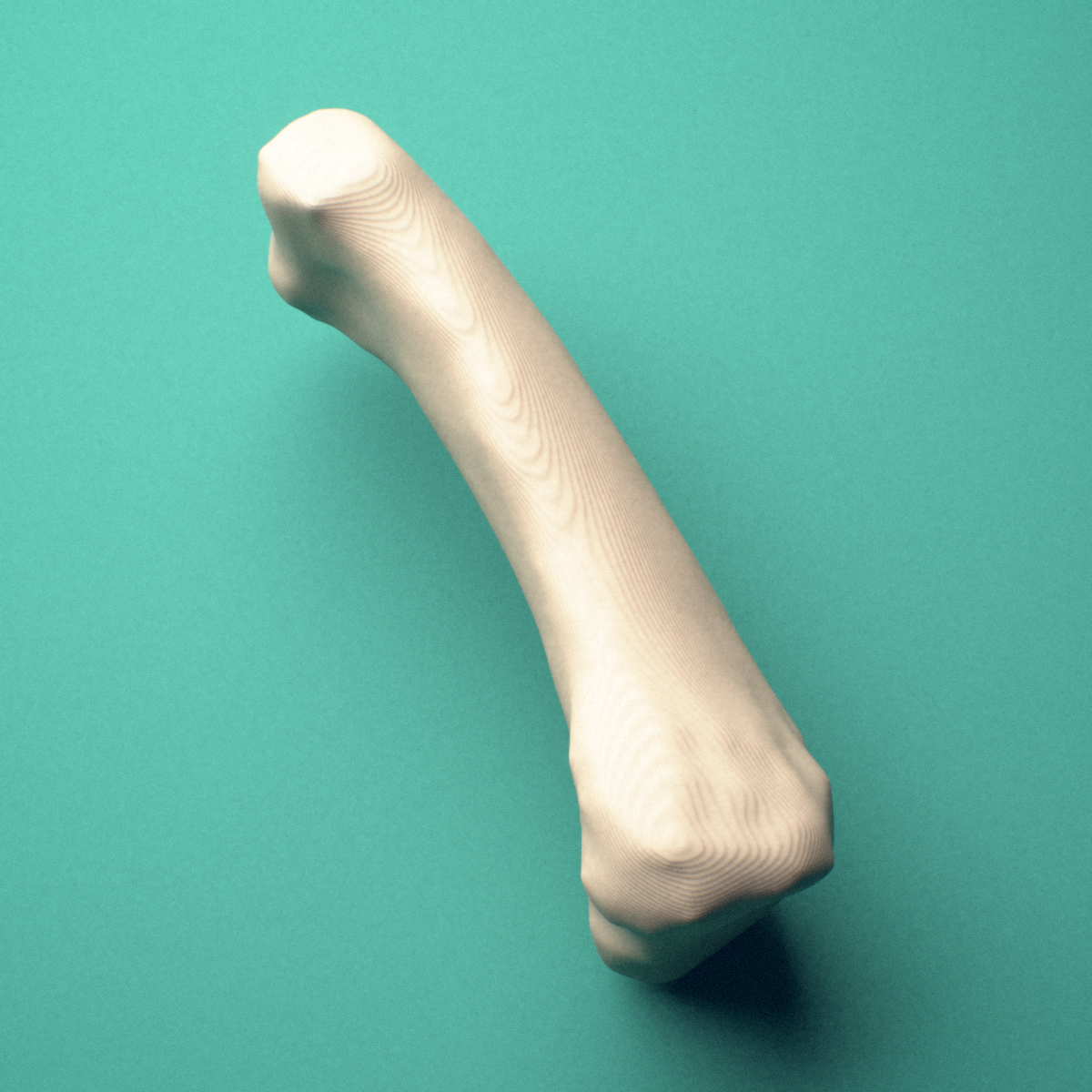 3D-printed Right ring finger proximal phalanx, close-up view showing the head (trochlea).