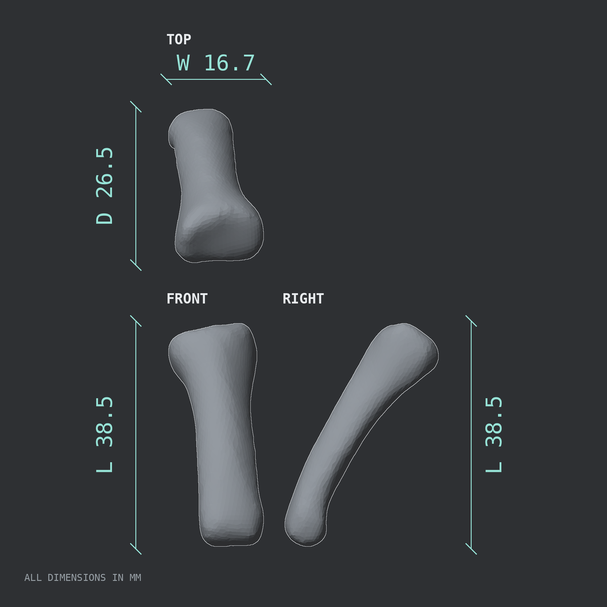 3D rendered dimensional drawing of the Right ring finger proximal phalanx, top, front, and side views.