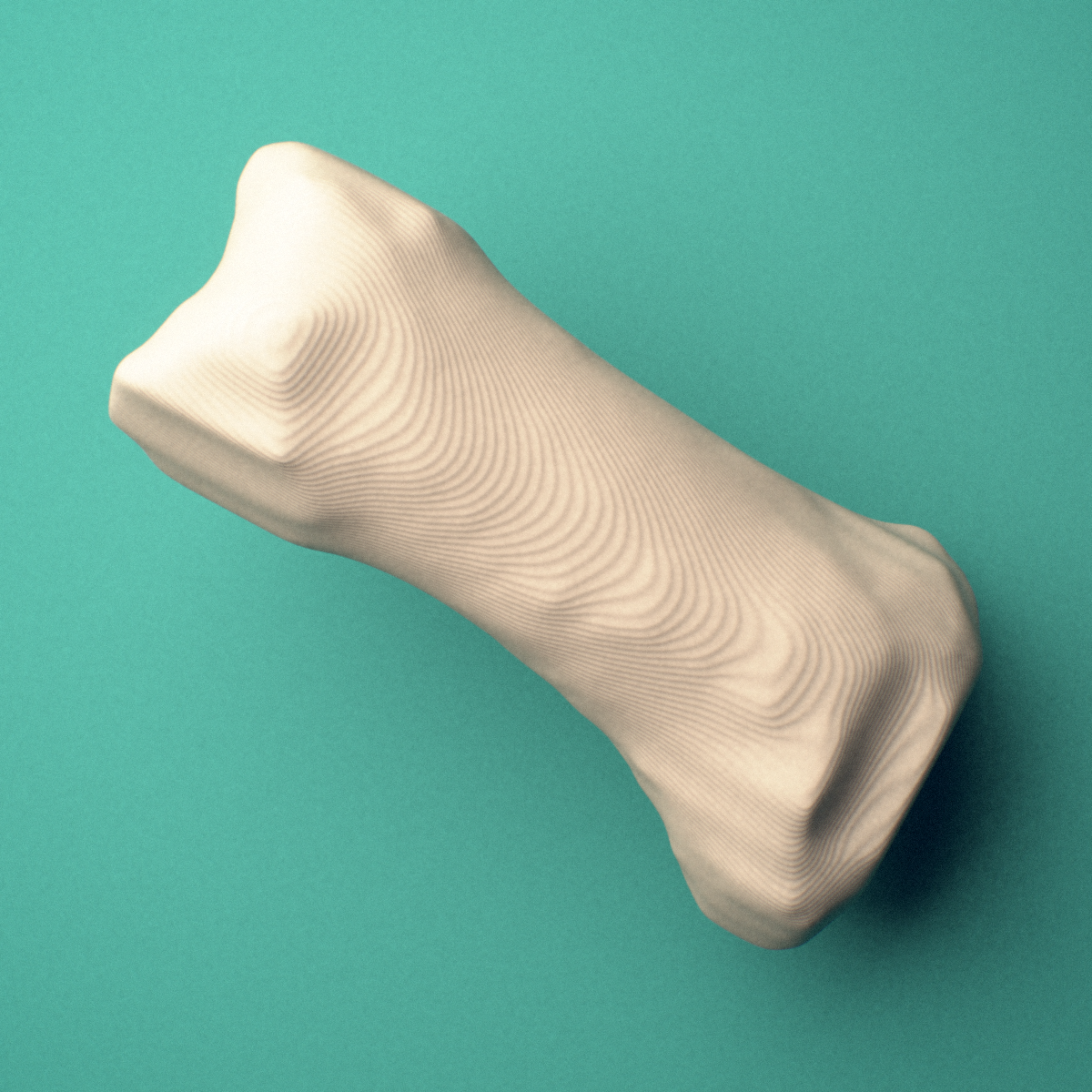 3D-printed Right thumb proximal phalanx, oblique view showing the base and head (trochlea).