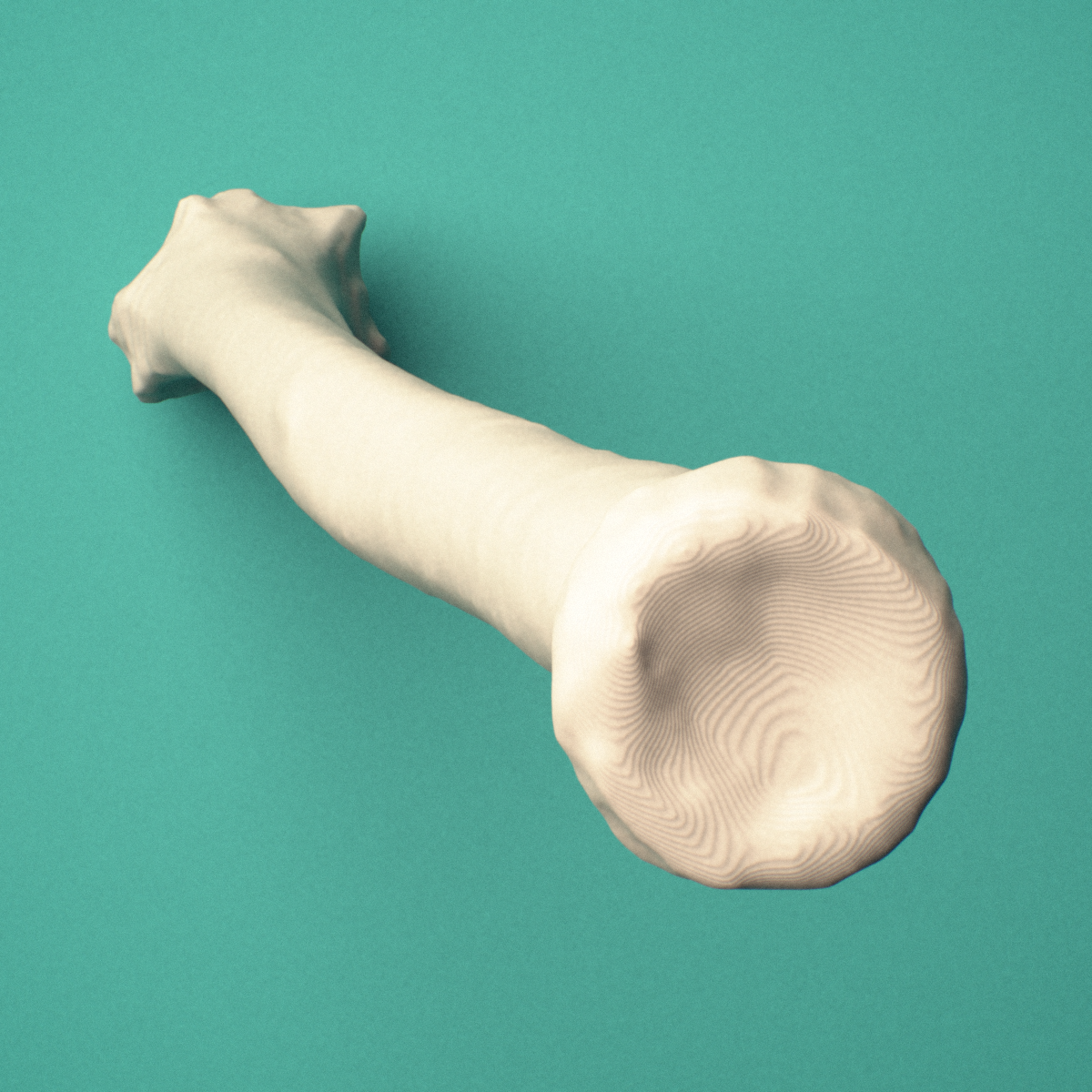 3D-printed Right radius, end-on view showing the carpal articular surface.