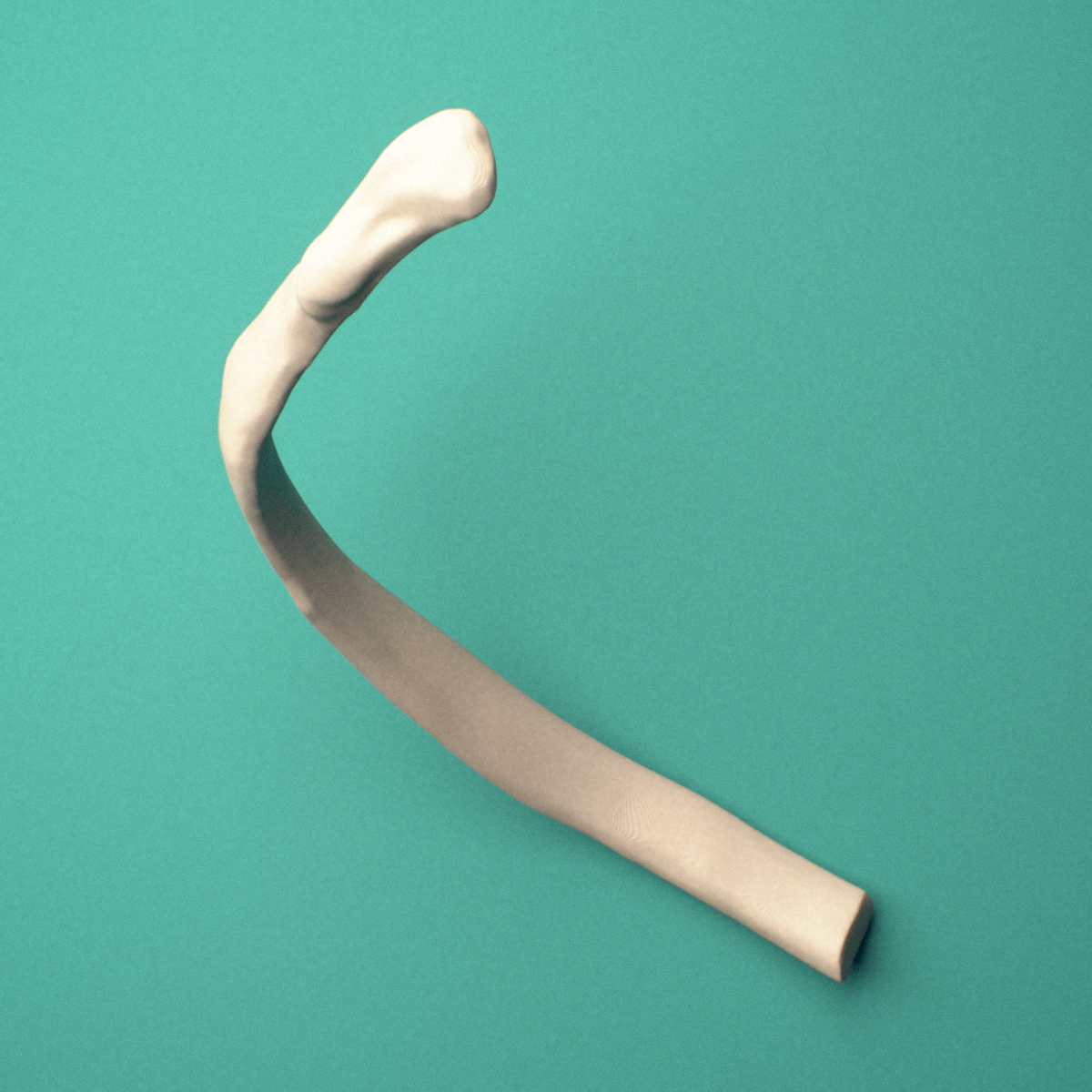 3D-printed Left tenth rib (false rib), lateral view showing the costal groove along the shaft.