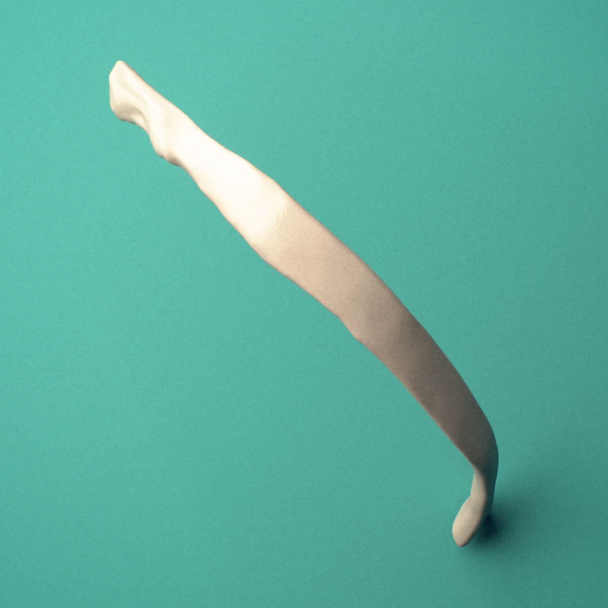 3D-printed Right tenth rib (false rib), close-up view showing the sternal end of the rib.