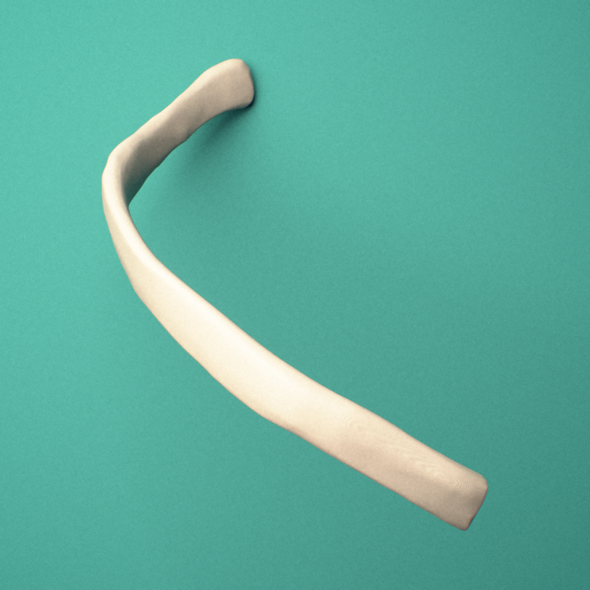 3D-printed Right tenth rib (false rib), lateral view showing the costal groove along the shaft.