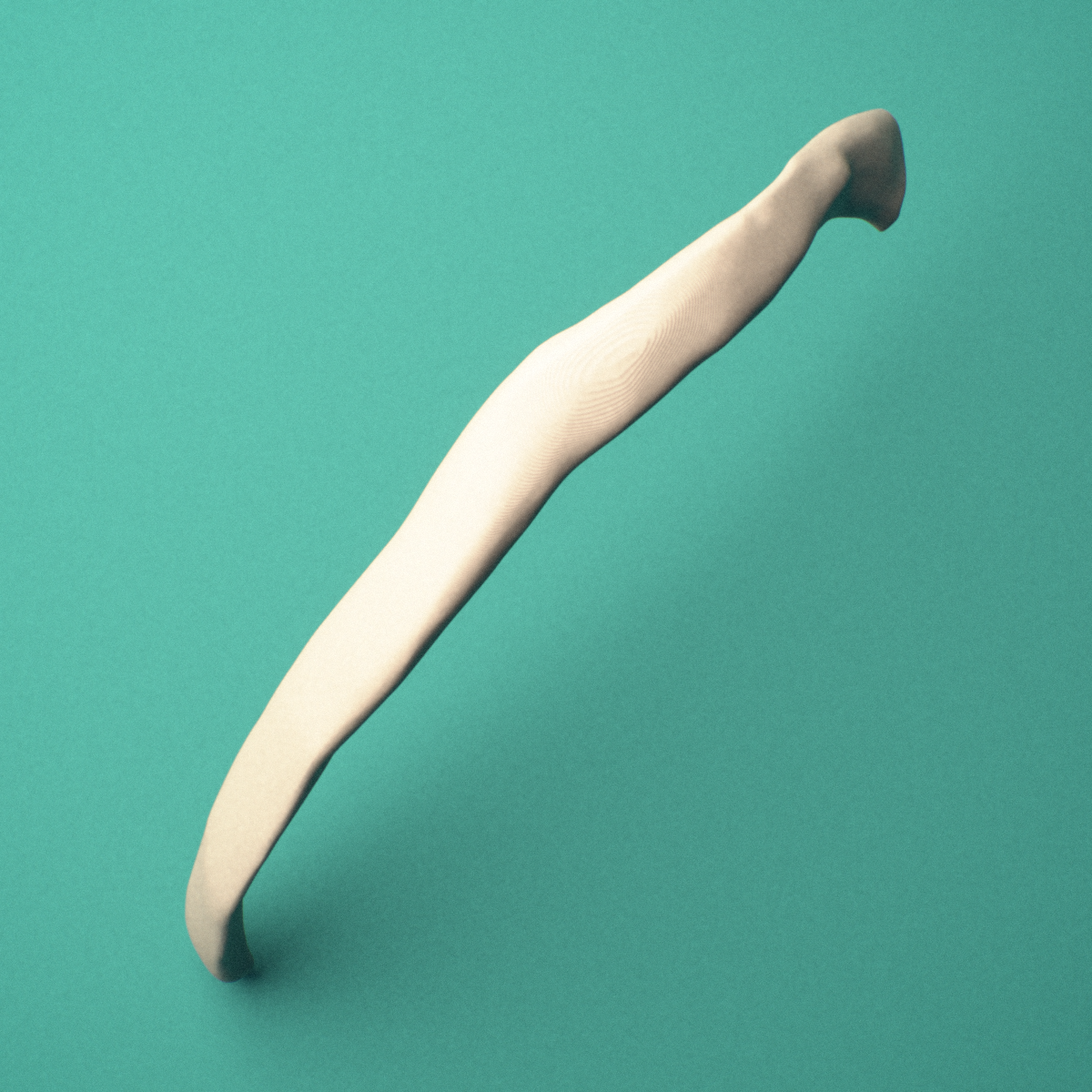 3D-printed Left eleventh rib (floating rib), close-up view showing the sternal end of the rib.