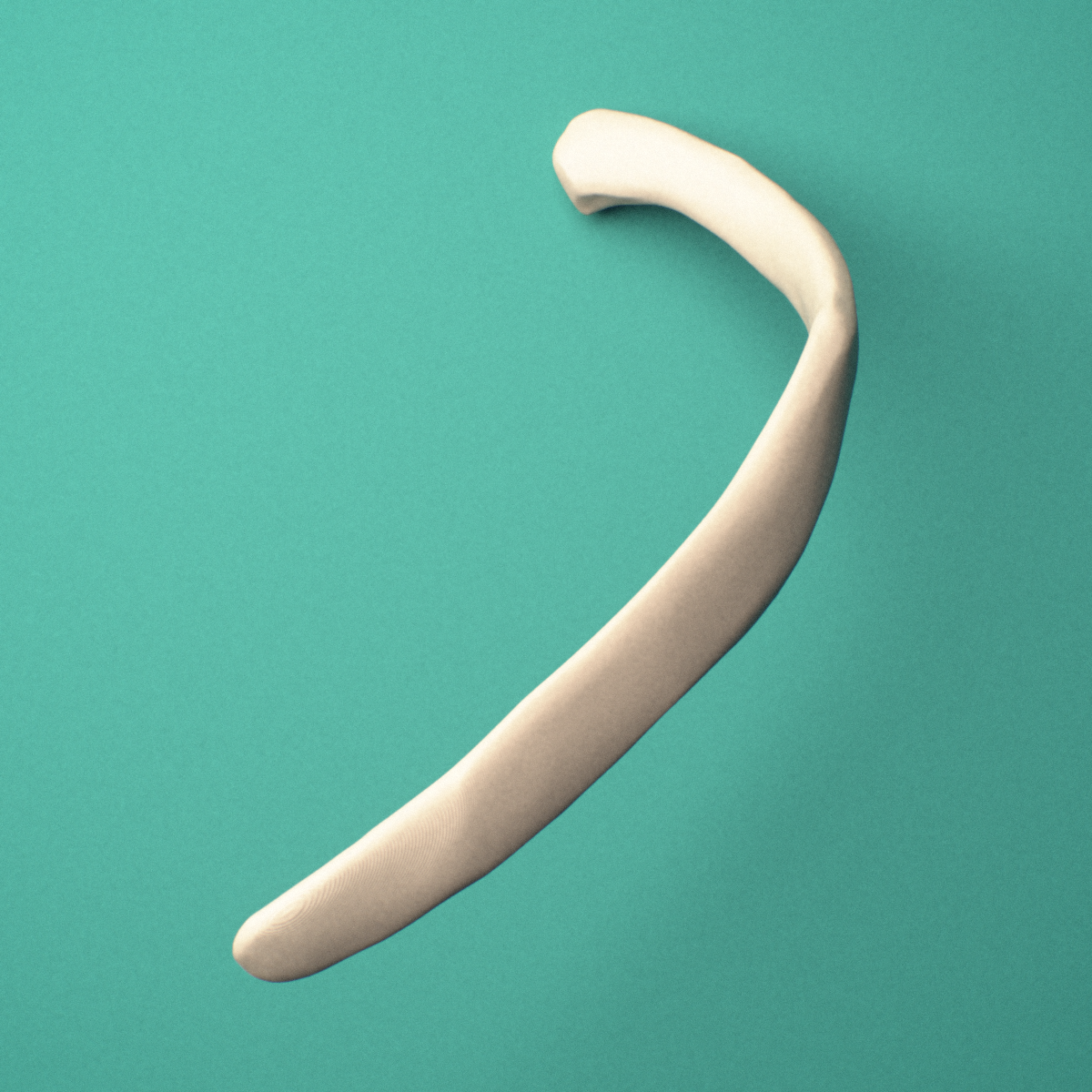 3D-printed Left eleventh rib (floating rib), oblique close-up view showing the shaft.