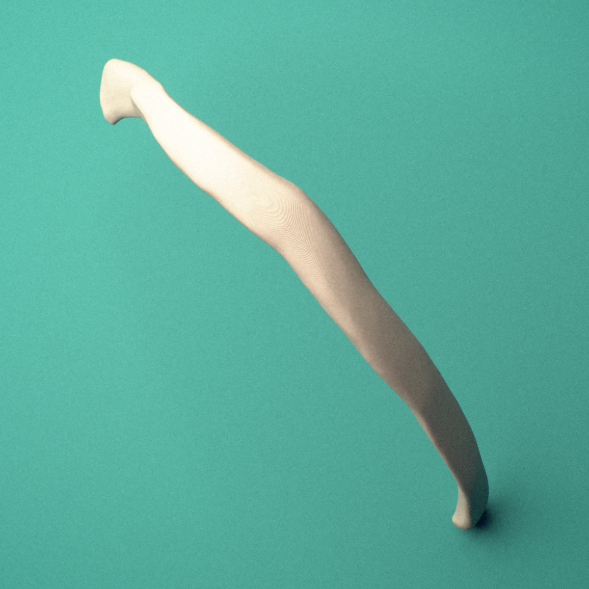 3D-printed Right eleventh rib (floating rib), close-up view showing the sternal end of the rib.