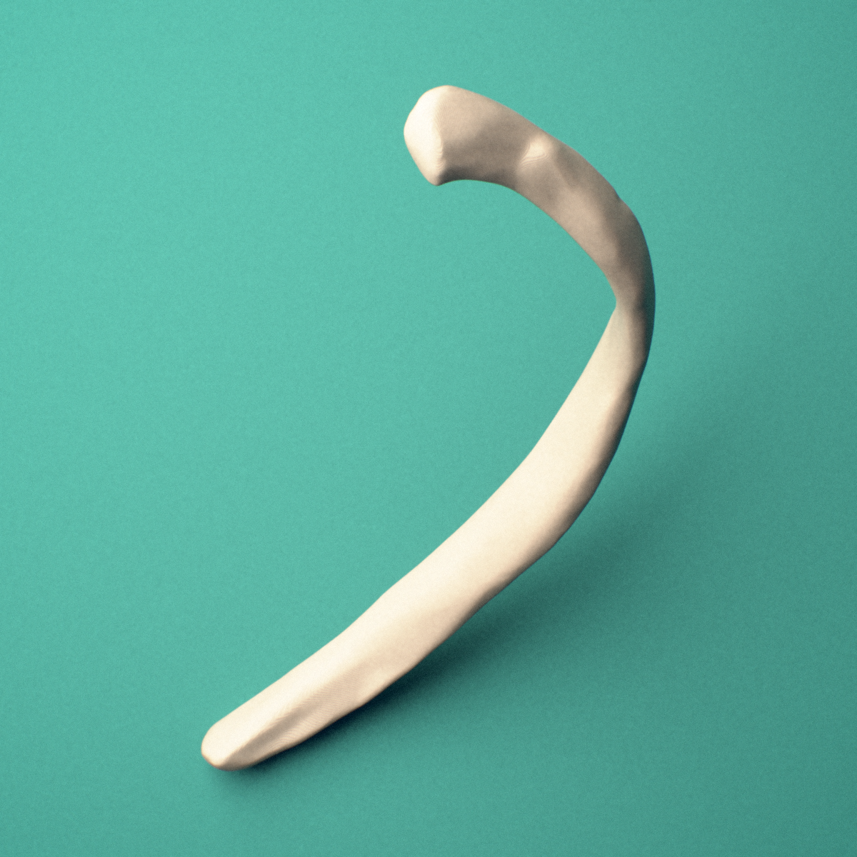 3D-printed Right eleventh rib (floating rib), oblique close-up view showing the shaft.