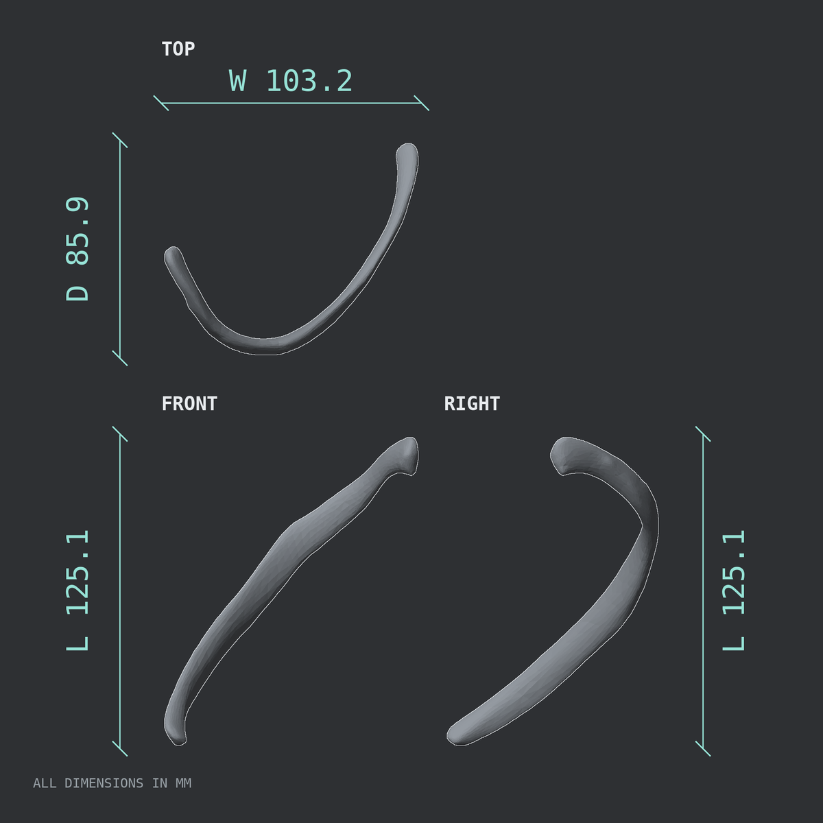 3D rendered dimensional drawing of the Right eleventh rib (floating rib), top, front, and side views.