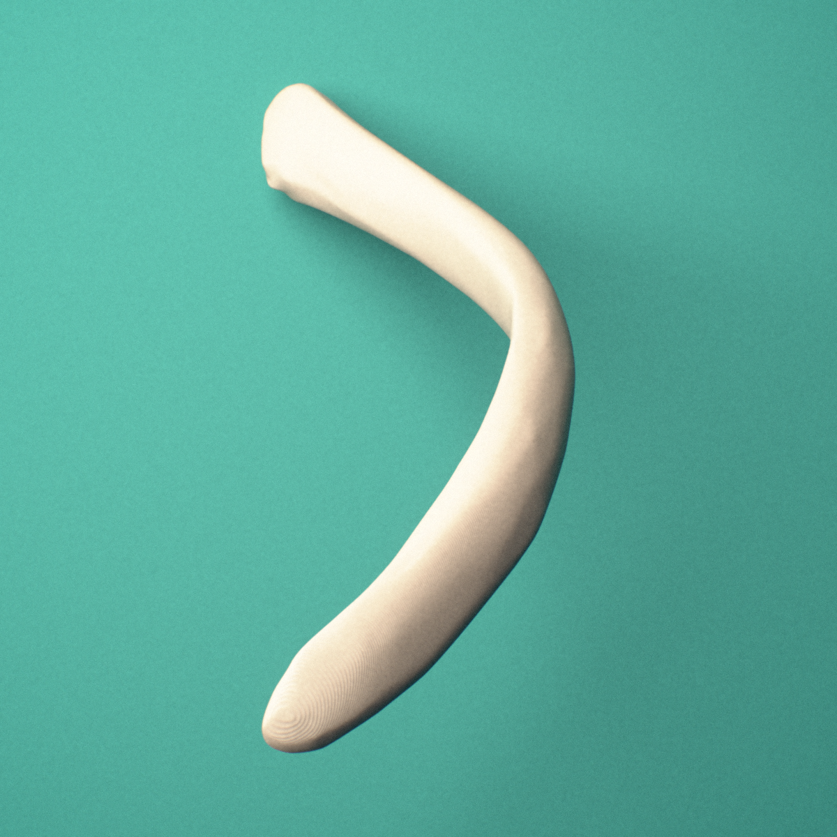 3D-printed Left twelfth rib (floating rib), oblique close-up view showing the shaft.