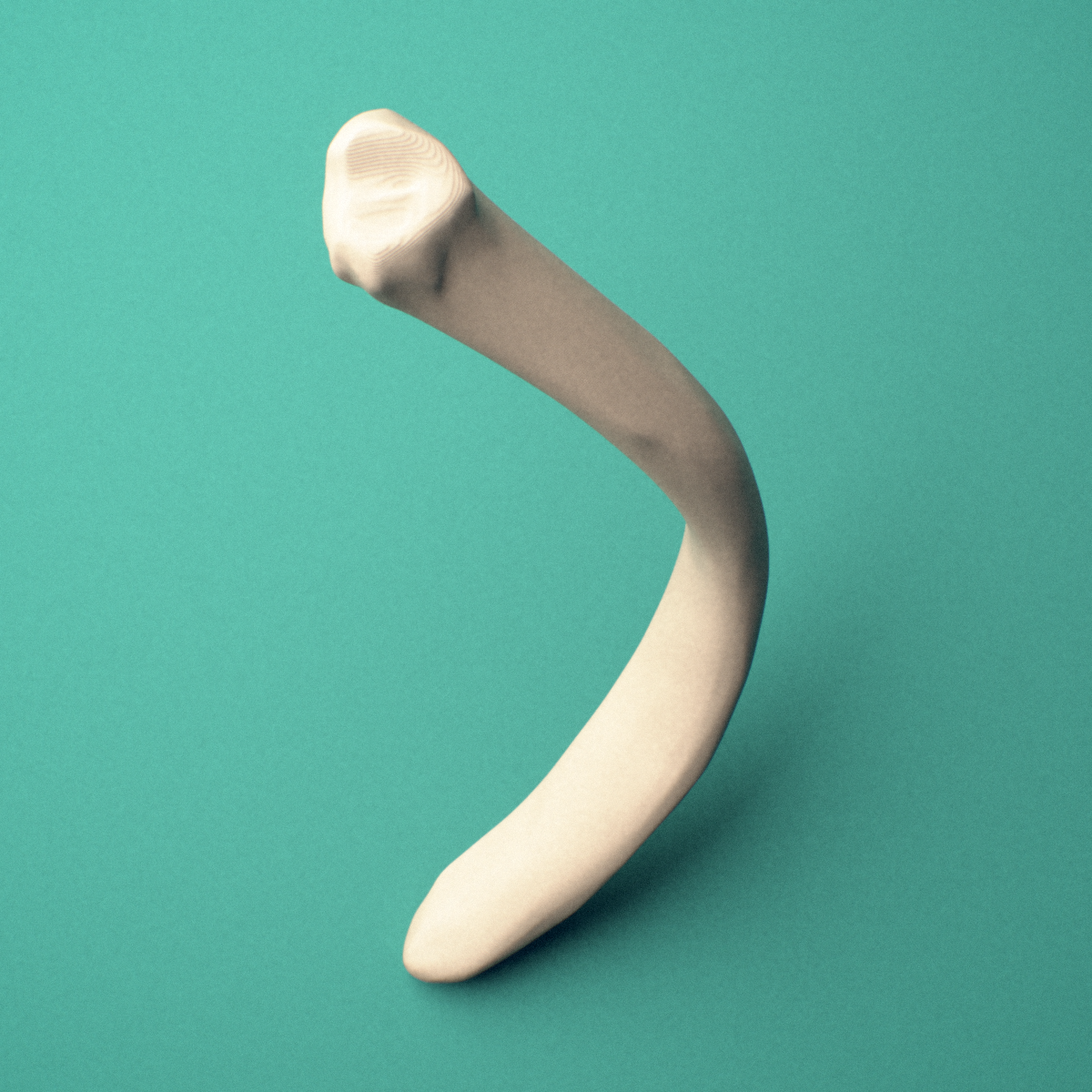 3D-printed Right twelfth rib (floating rib), oblique close-up view showing the shaft.
