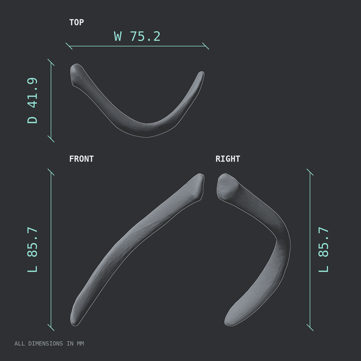 3D rendered dimensional drawing of the Right twelfth rib (floating rib), top, front, and side views.
