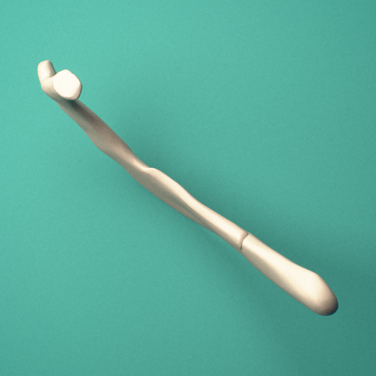 3D-printed Left first rib (true rib), lateral view showing the costal groove along the shaft.