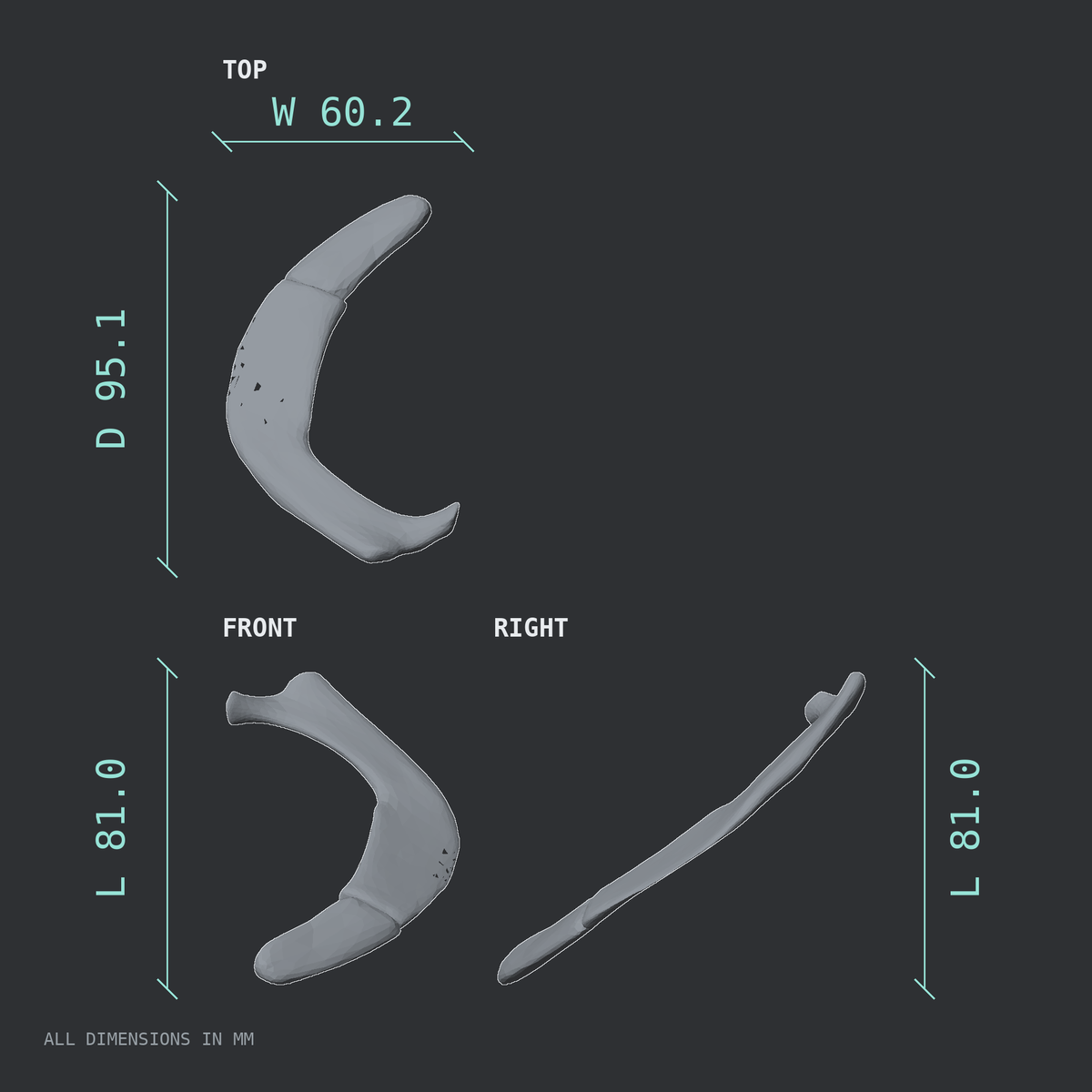 3D rendered dimensional drawing of the Left first rib (true rib), top, front, and side views.