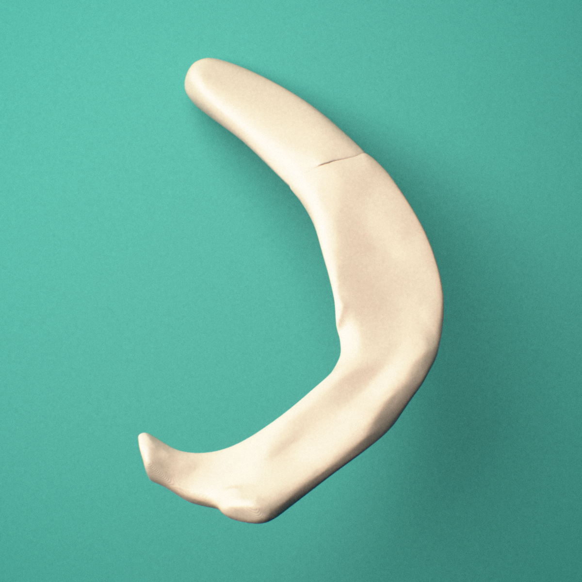 3D-printed Right first rib (true rib), oblique view showing the overall curvature of the rib.