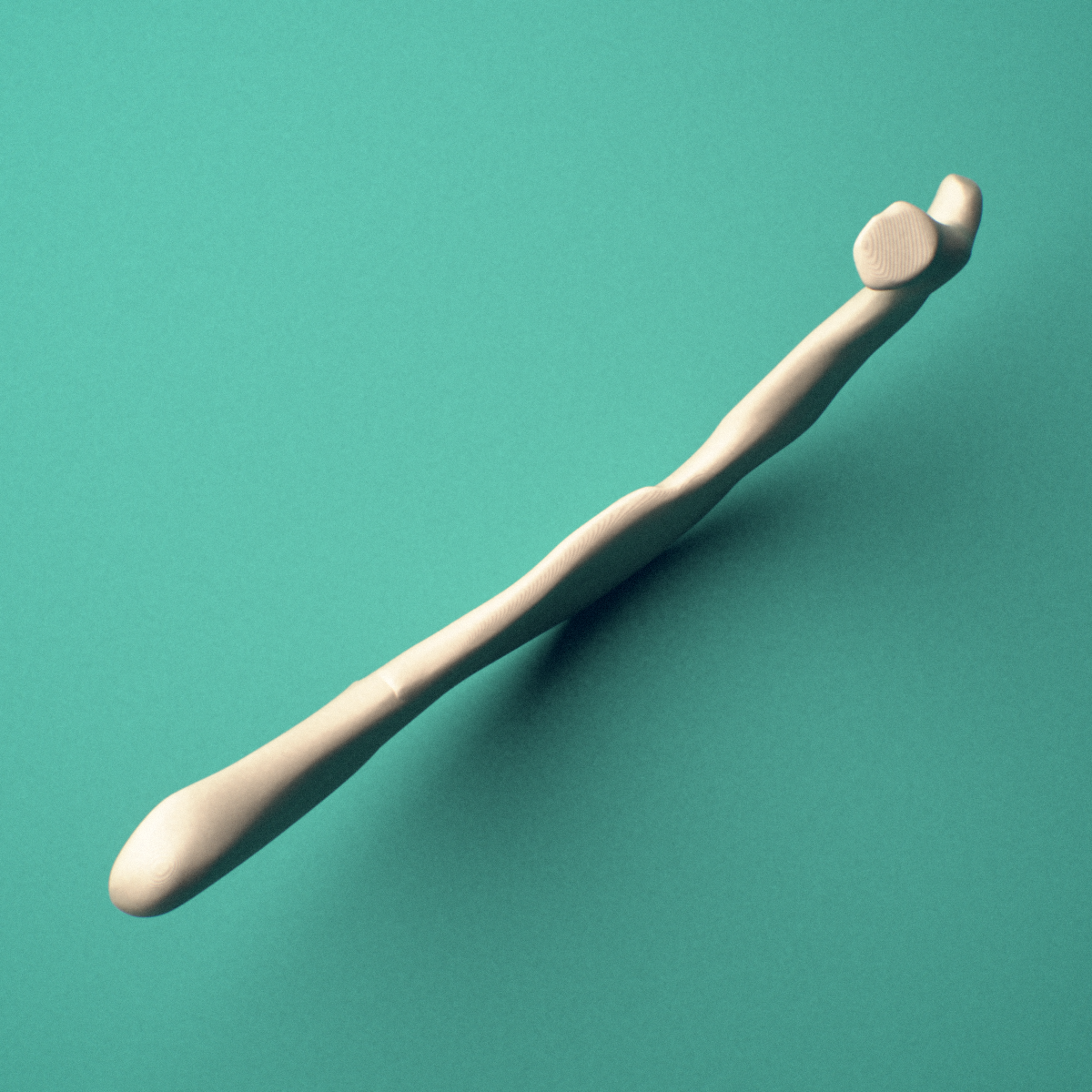 3D-printed Right first rib (true rib), oblique view showing the rib's curvature from head to sternal end.