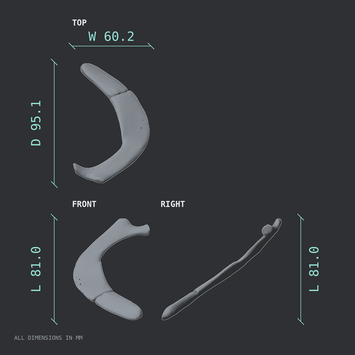 3D rendered dimensional drawing of the Right first rib (true rib), top, front, and side views.