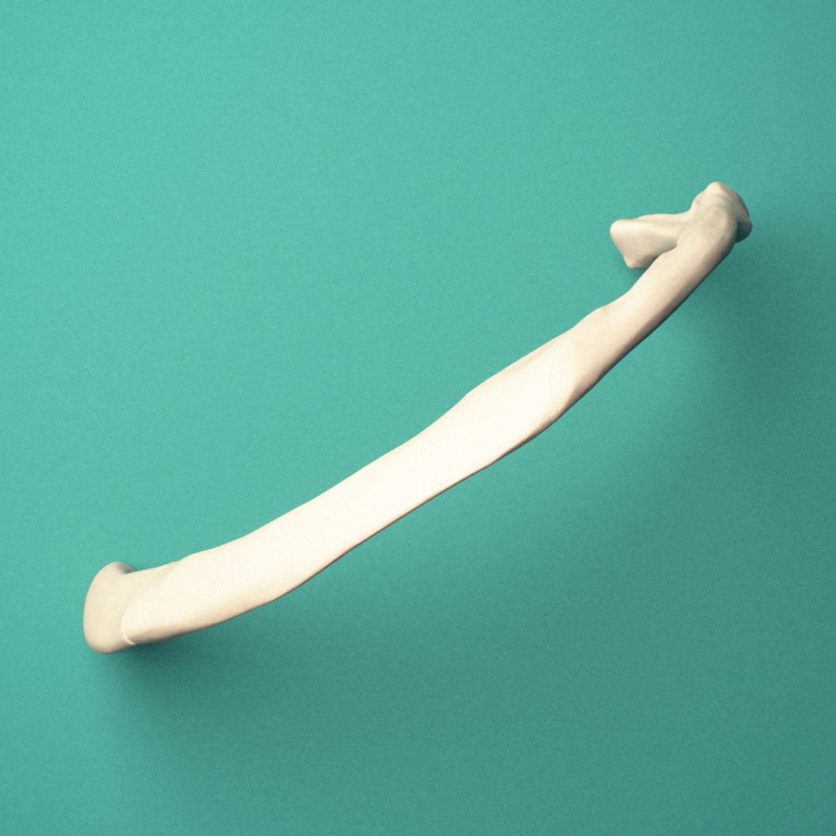 3D-printed Left second rib (true rib), oblique close-up view showing the shaft.