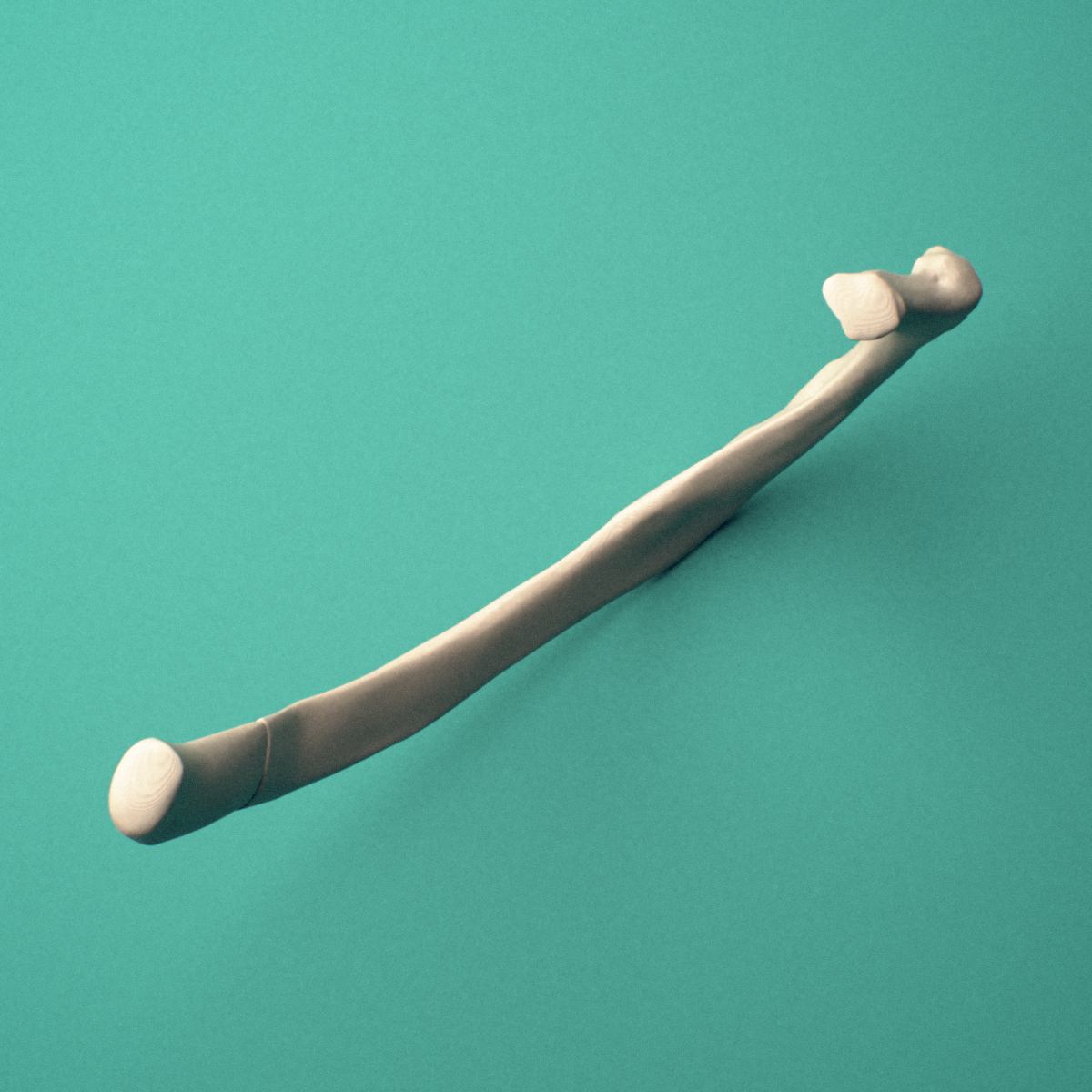 3D-printed Right second rib (true rib), oblique close-up view showing the shaft.