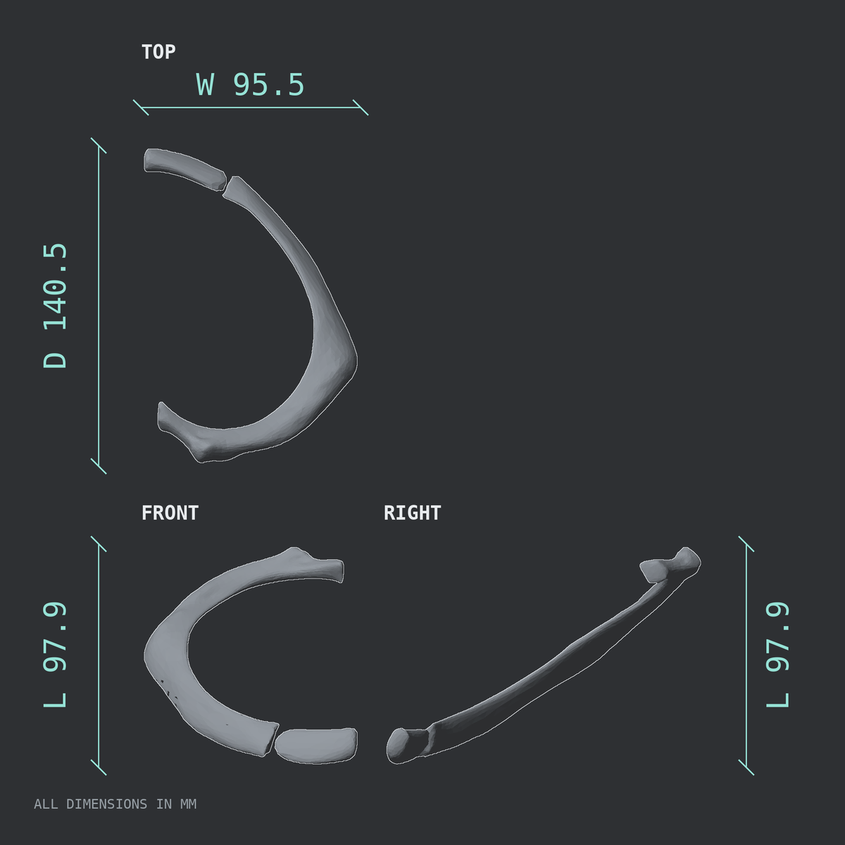 3D rendered dimensional drawing of the Right second rib (true rib), top, front, and side views.