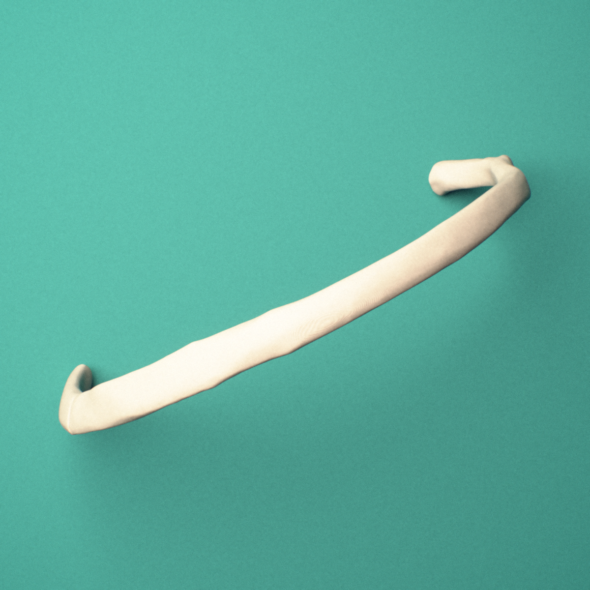 3D-printed Left fourth rib (true rib), oblique close-up view showing the tubercle.