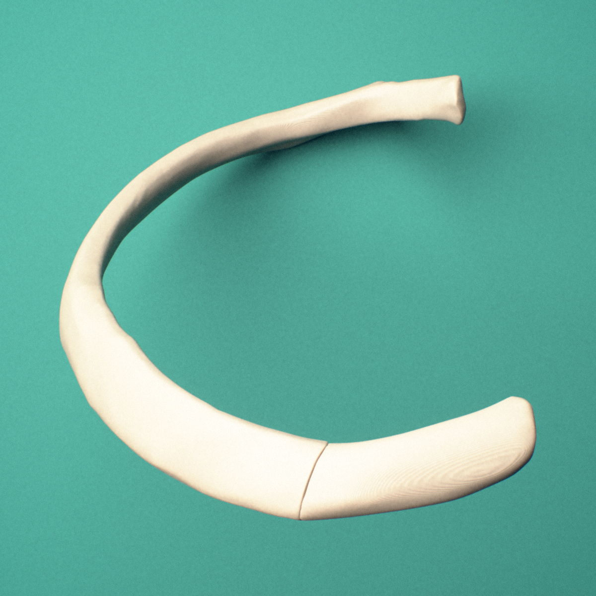 3D-printed Right fourth rib (true rib), close-up view showing the head of the rib.