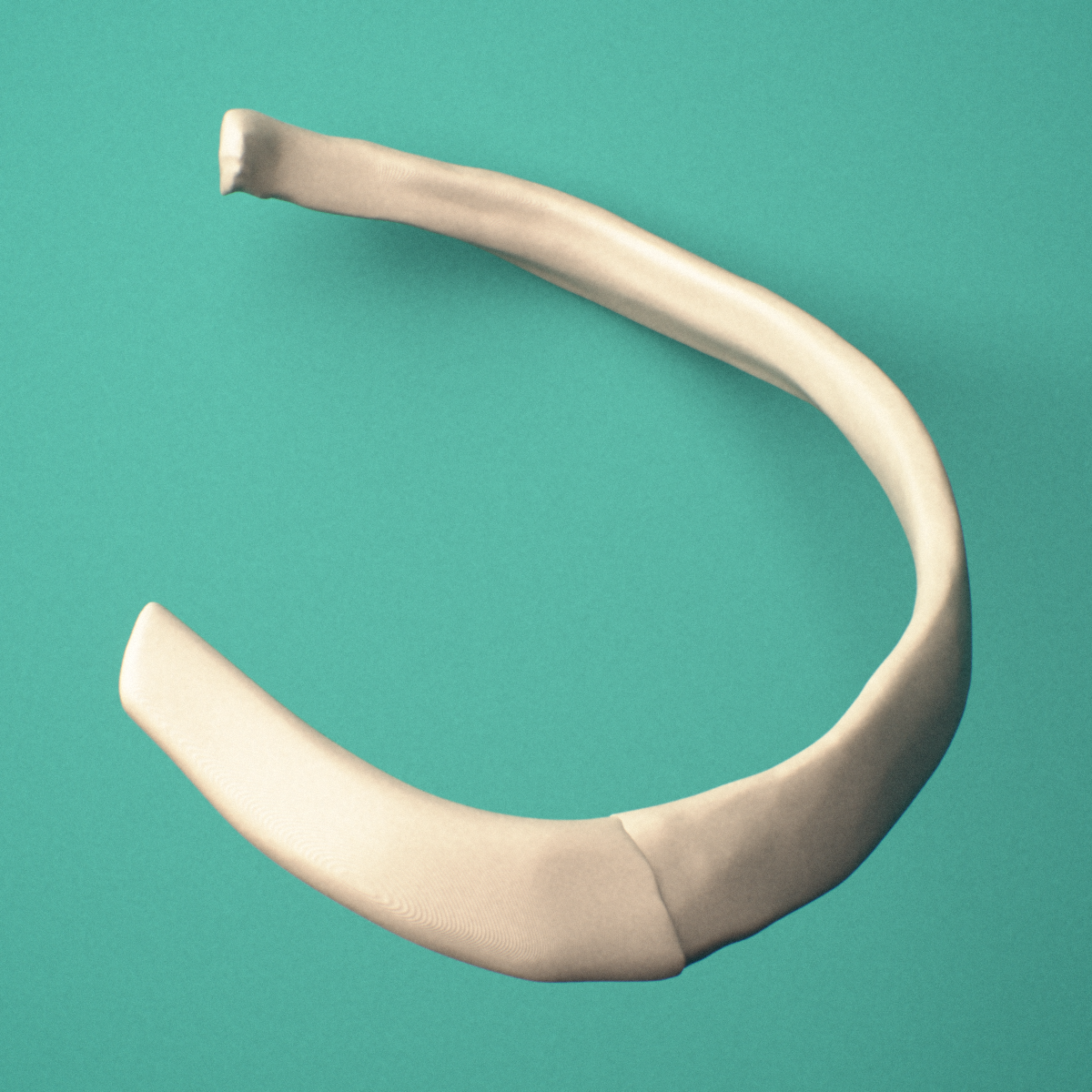 3D-printed Left fifth rib (true rib), close-up view showing the head of the rib.