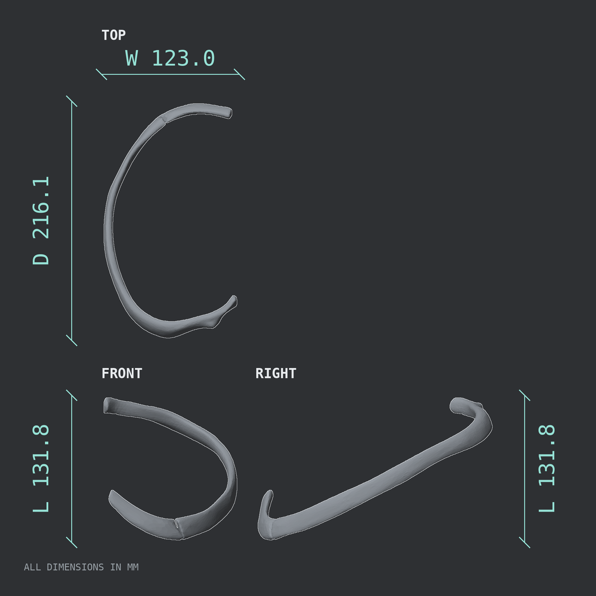 3D rendered dimensional drawing of the Left fifth rib (true rib), top, front, and side views.