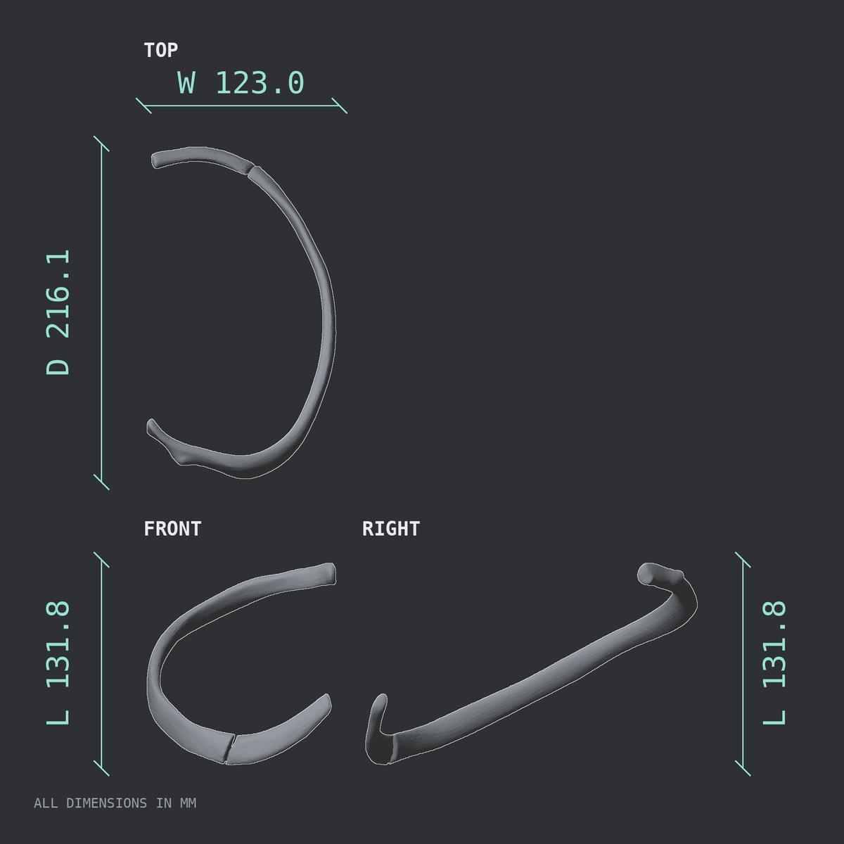 3D rendered dimensional drawing of the Right fifth rib (true rib), top, front, and side views.