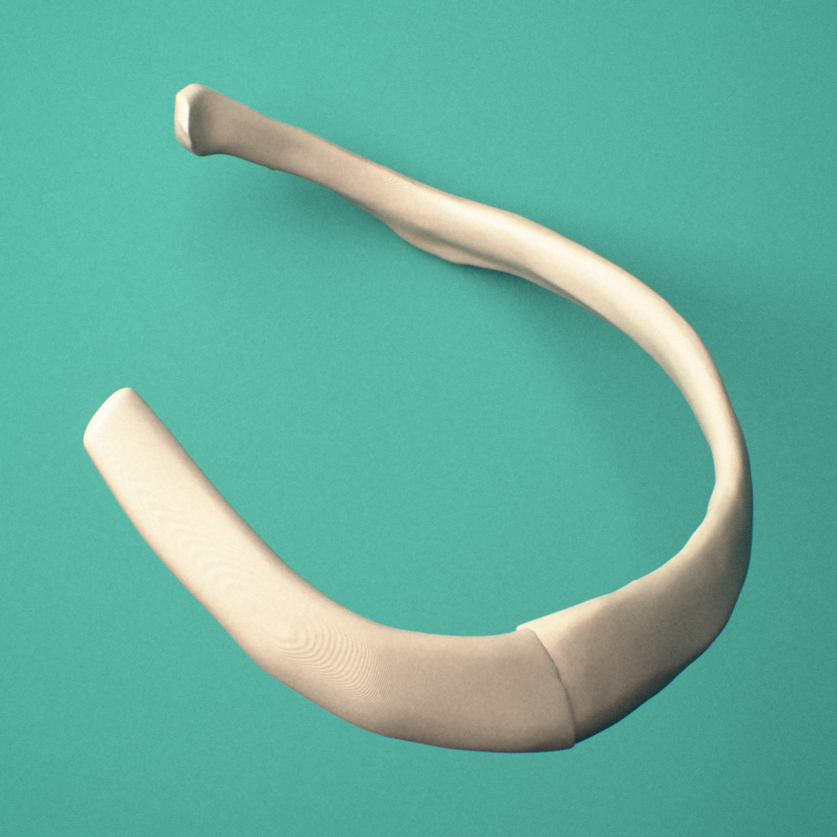 3D-printed Left sixth rib (true rib), close-up view showing the head of the rib.