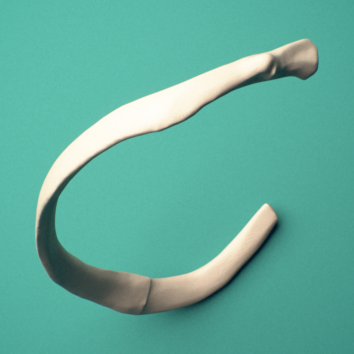 3D-printed Left sixth rib (true rib), close-up view showing the sternal end of the rib.