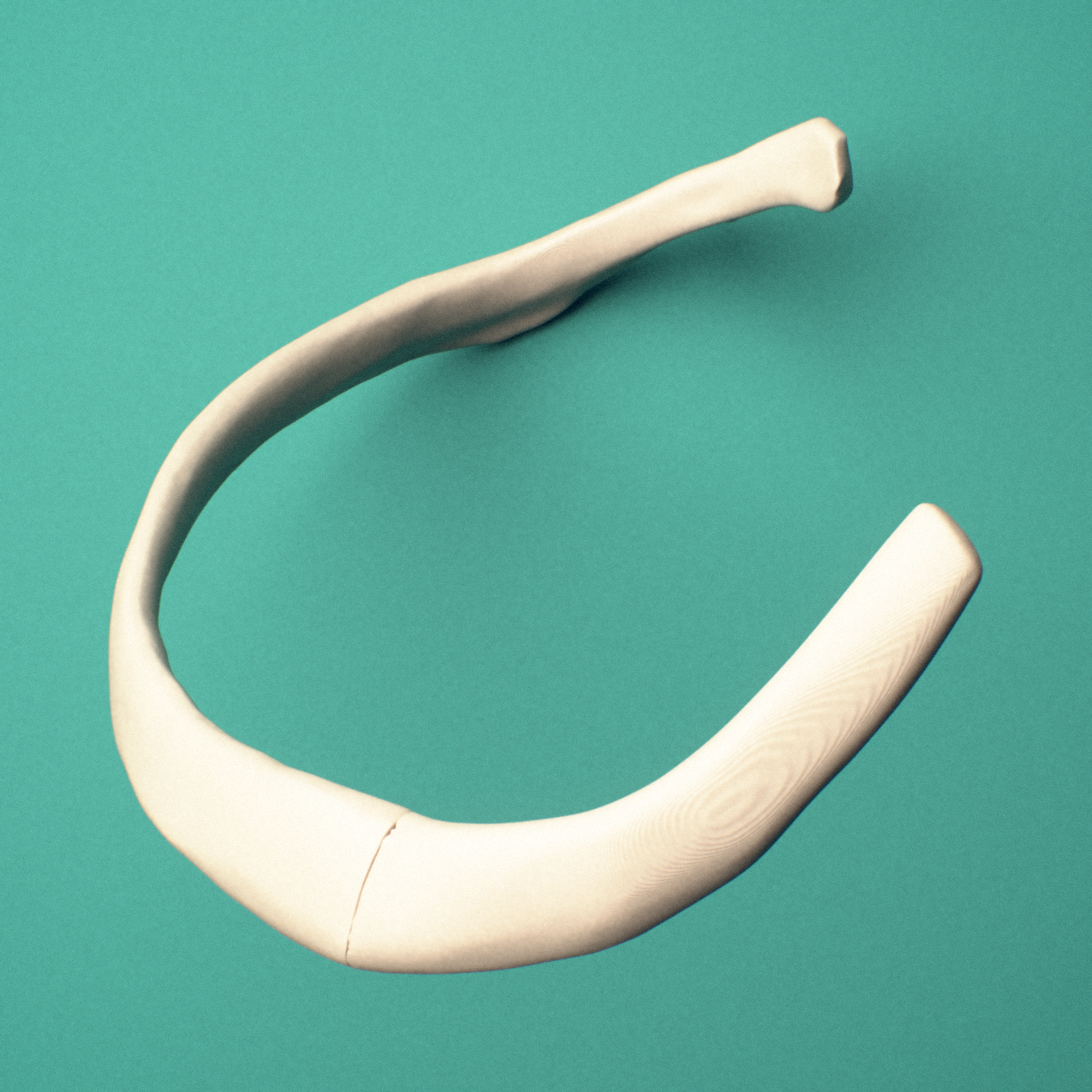 3D-printed Right sixth rib (true rib), close-up view showing the head of the rib.