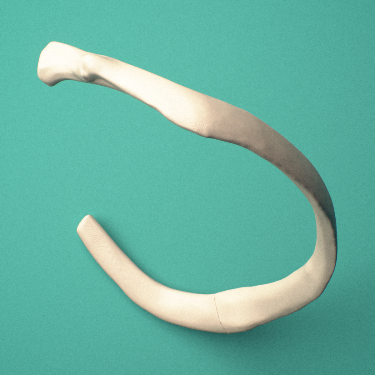 3D-printed Right sixth rib (true rib), close-up view showing the sternal end of the rib.