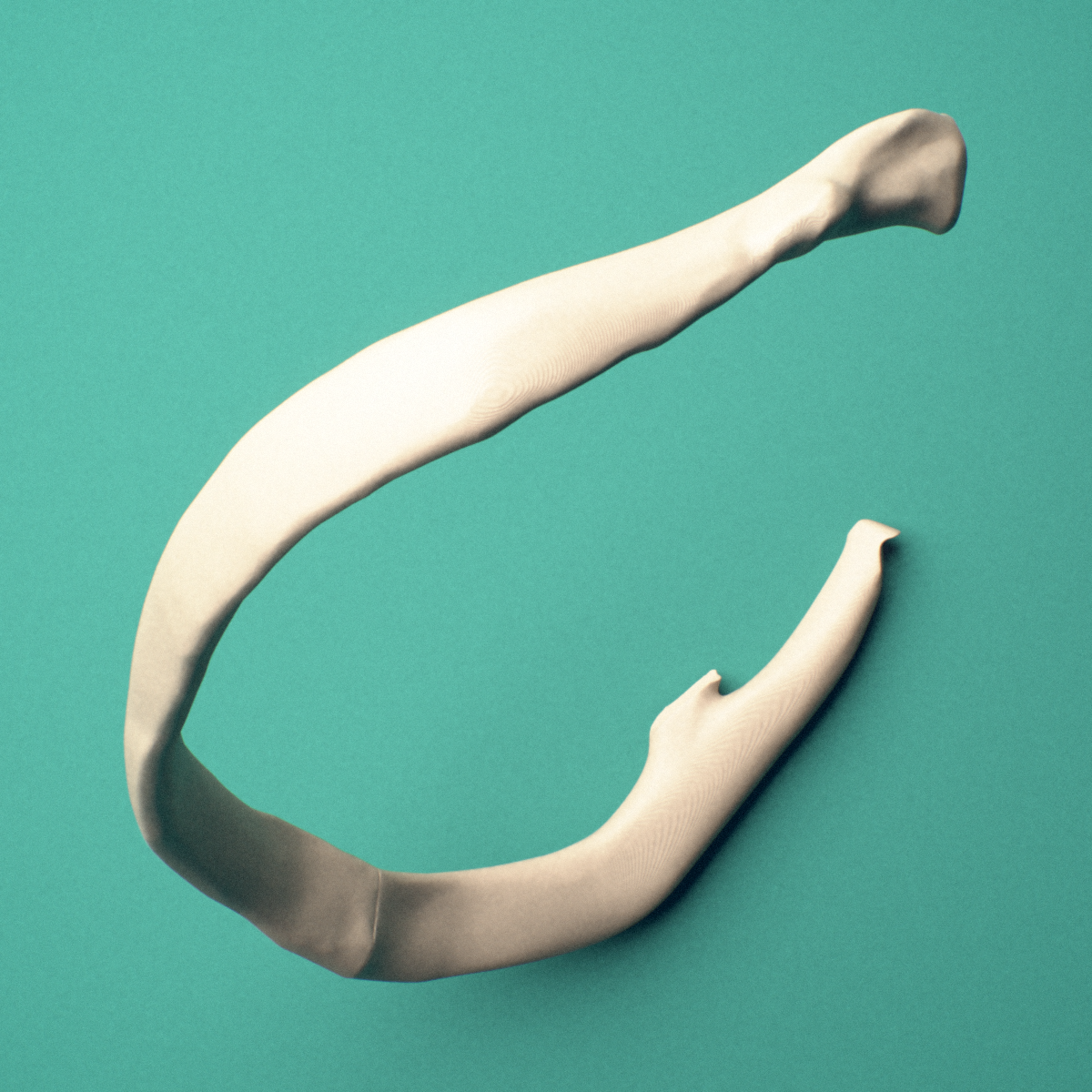 3D-printed Left seventh rib (true rib), close-up view showing the sternal end of the rib.