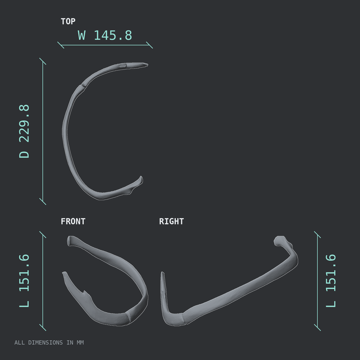 3D rendered dimensional drawing of the Left seventh rib (true rib), top, front, and side views.