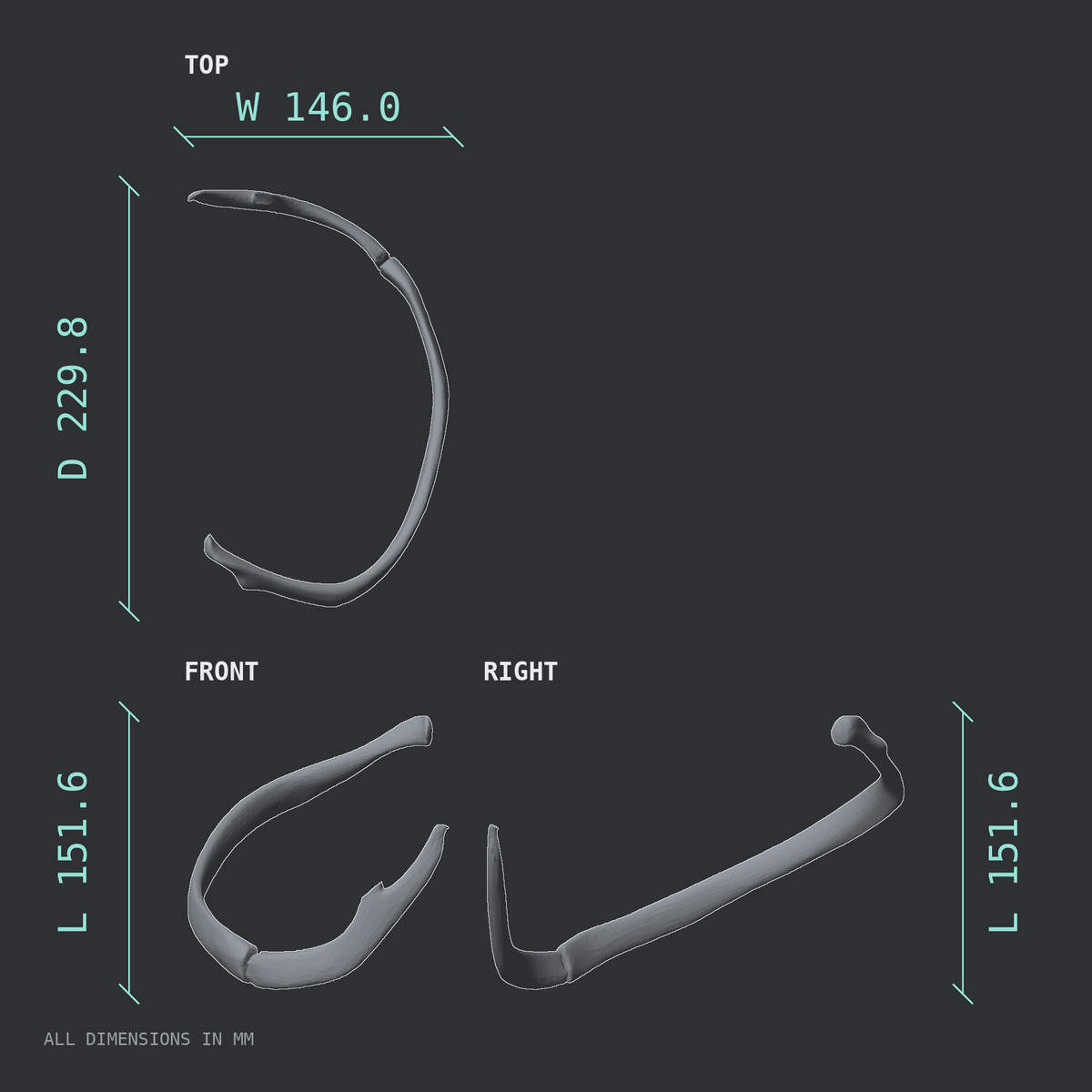 3D rendered dimensional drawing of the Right seventh rib (true rib), top, front, and side views.