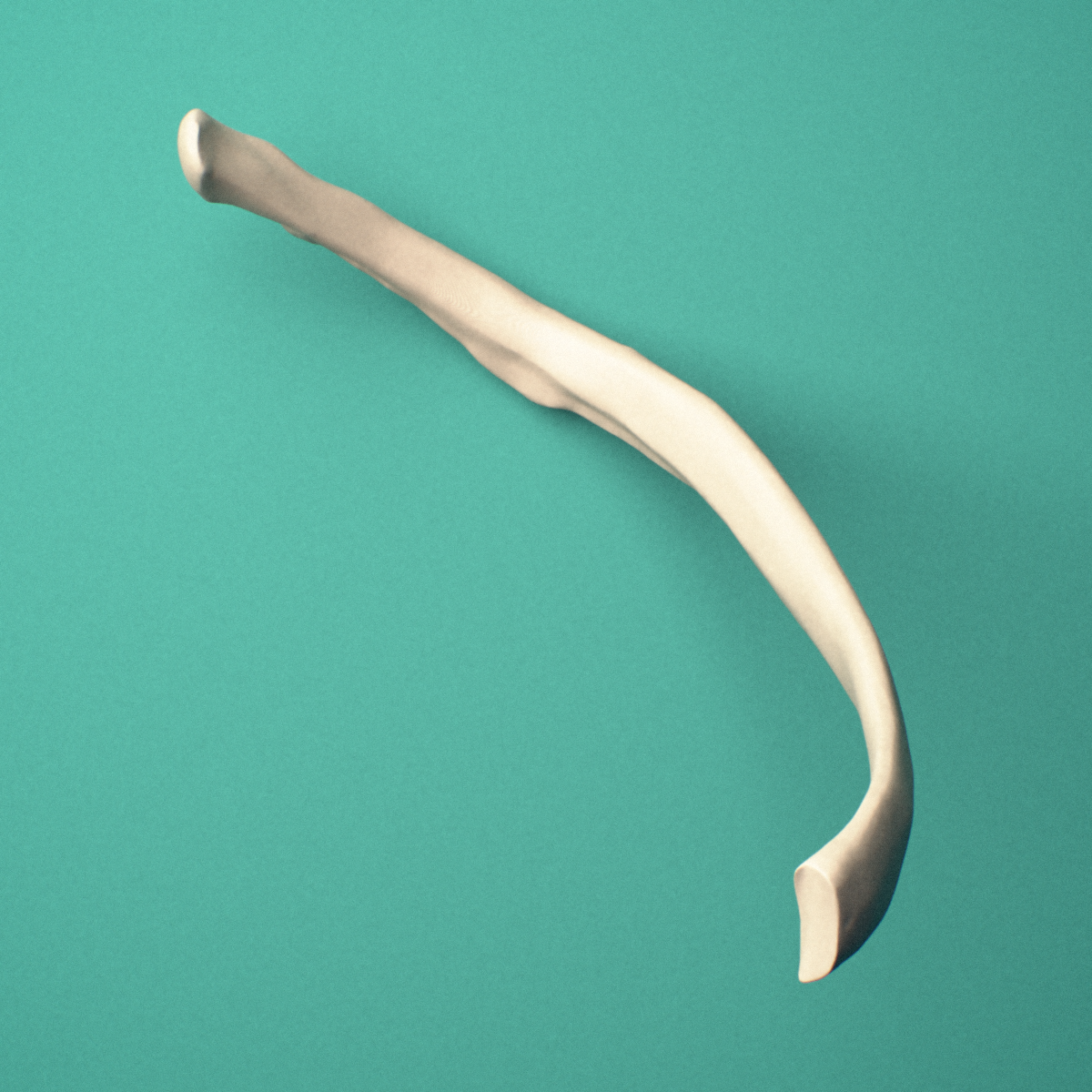 3D-printed Left eighth rib (false rib), close-up view showing the head of the rib.