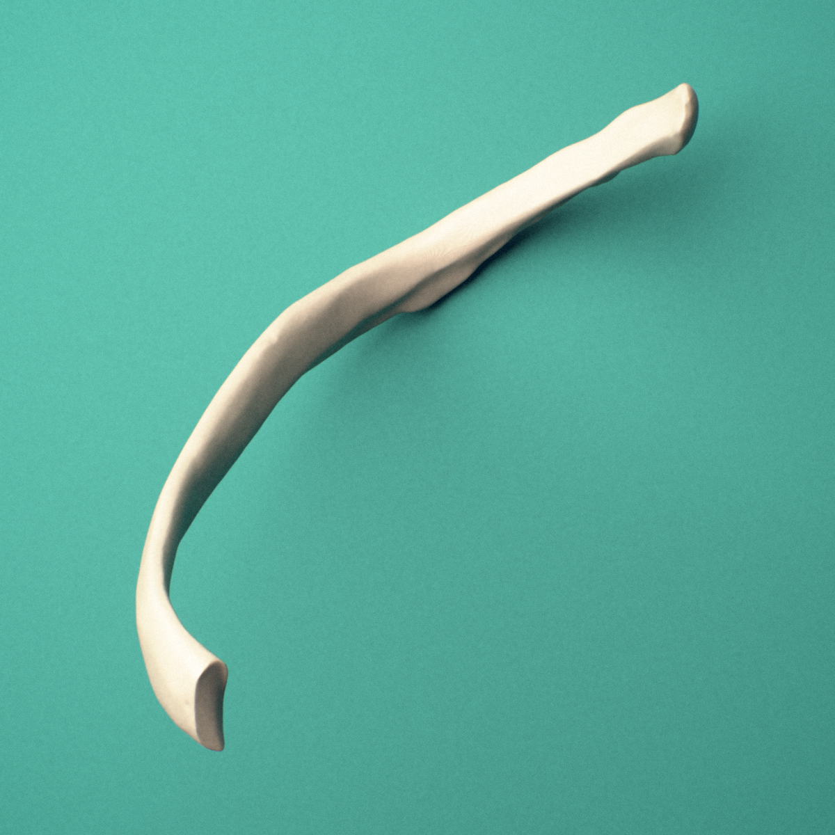 3D-printed Right eighth rib (false rib), close-up view showing the head of the rib.