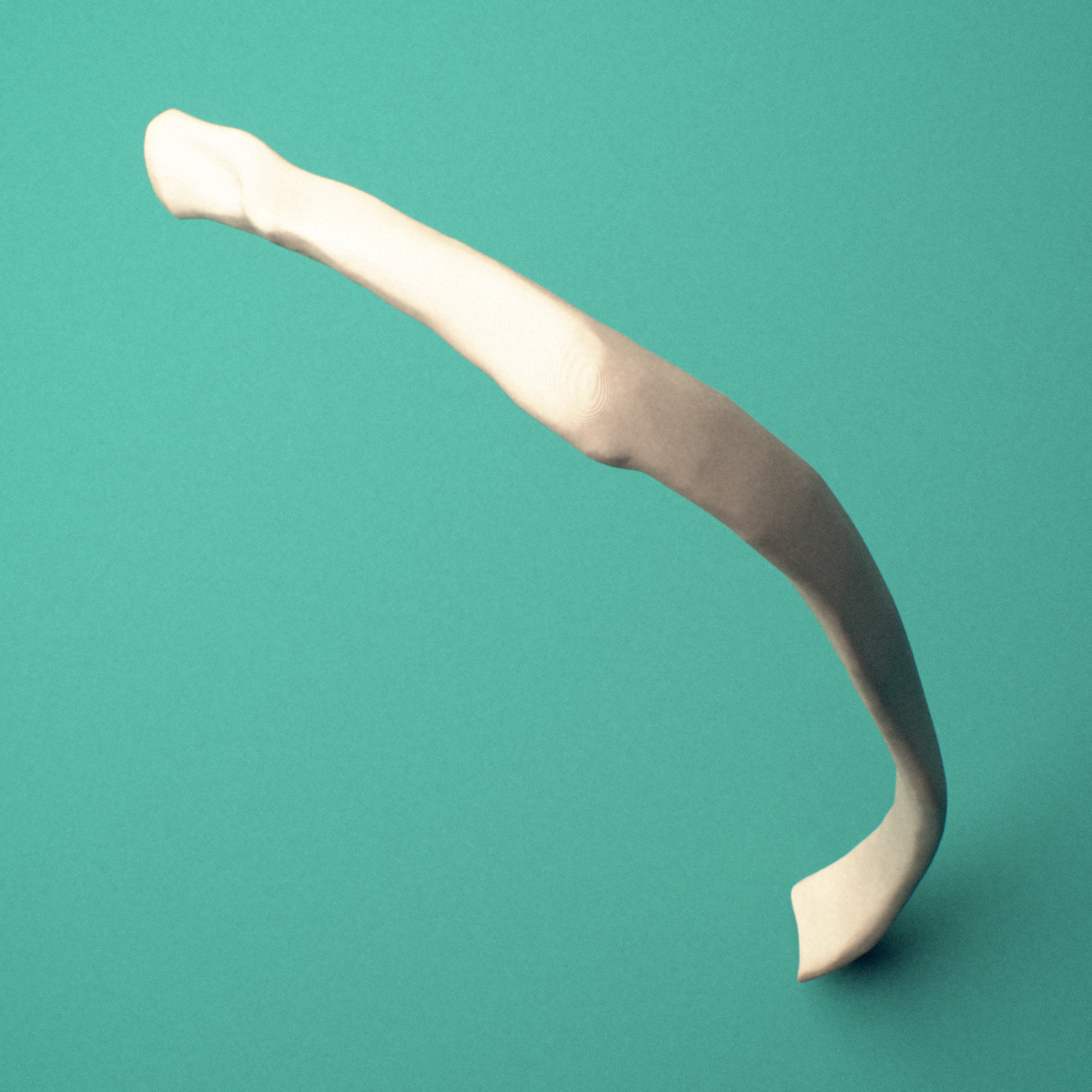 3D-printed Right eighth rib (false rib), close-up view showing the sternal end of the rib.