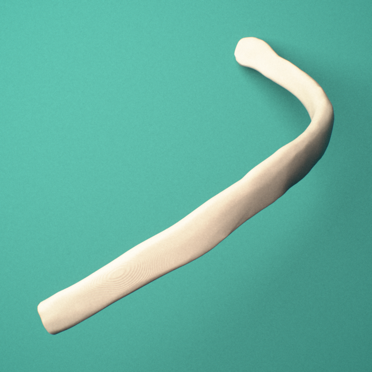 3D-printed Left ninth rib (false rib), oblique close-up view showing the tubercle.