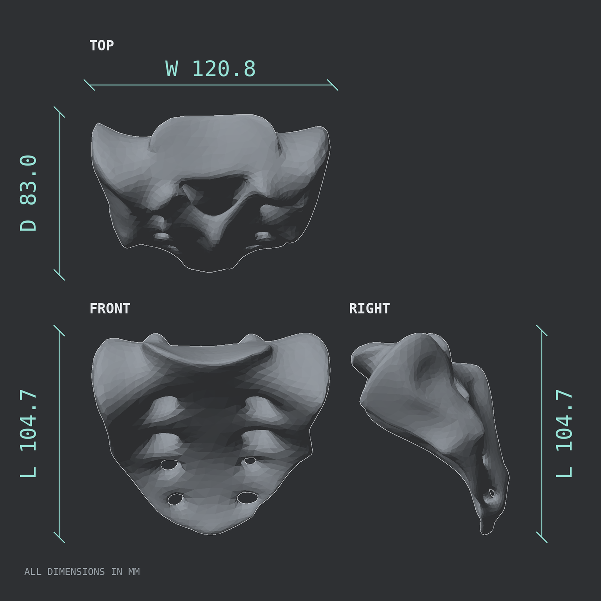 3D rendered dimensional drawing of the Sacrum, female pelvis, top, front, and side views.