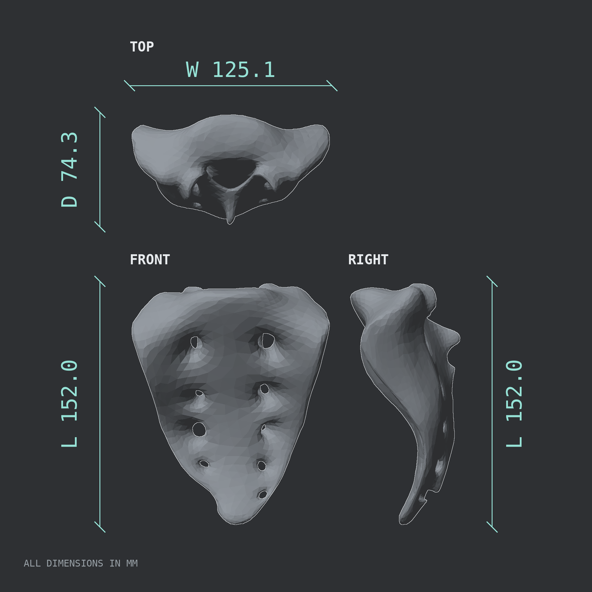 3D rendered dimensional drawing of the Sacrum, male pelvis, top, front, and side views.