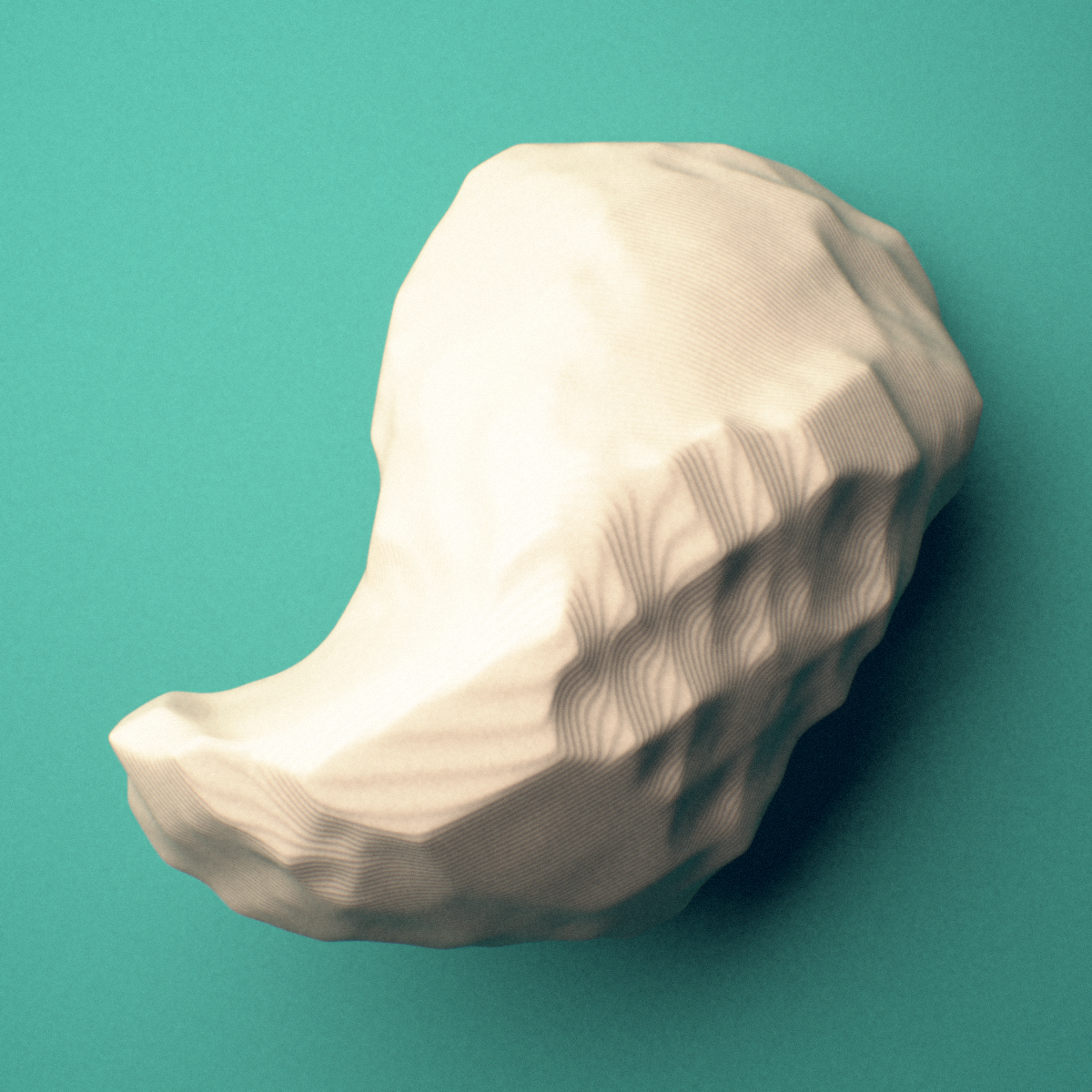 3D-printed Left scaphoid bone (wrist), oblique view showing the proximal pole (radial articular surface).