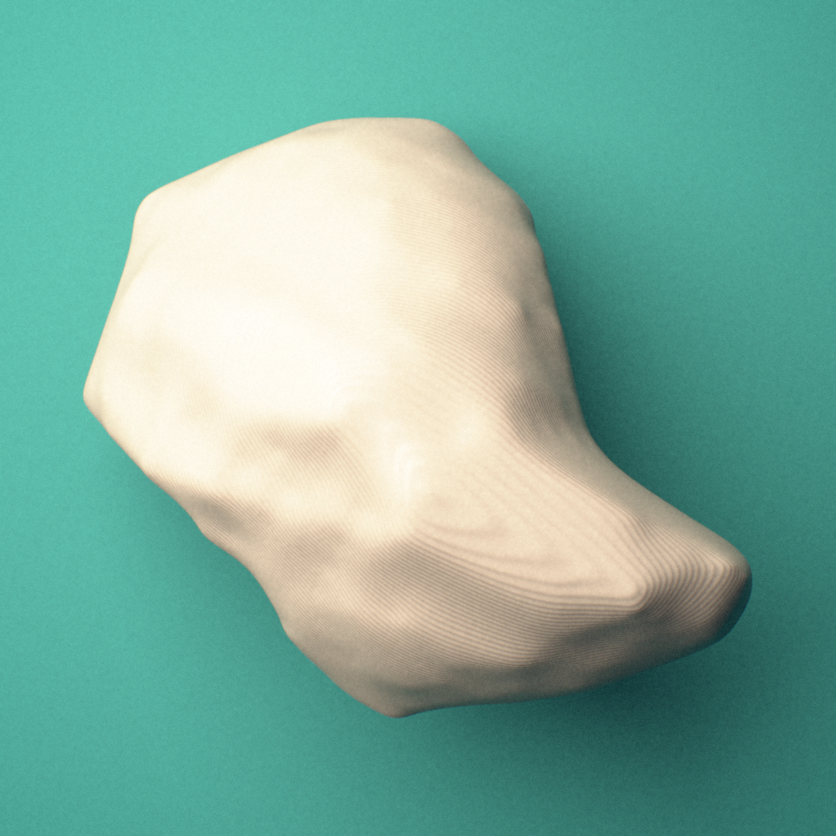3D-printed Right scaphoid bone (wrist), oblique view showing the scaphoid tubercle.