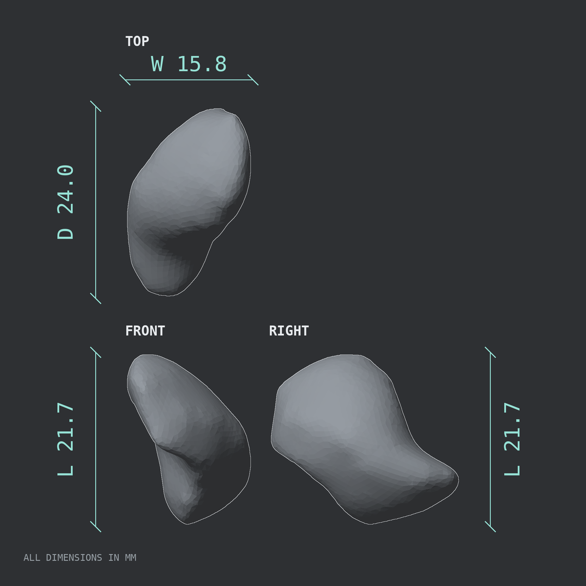 3D rendered dimensional drawing of the Right scaphoid bone (wrist), top, front, and side views.