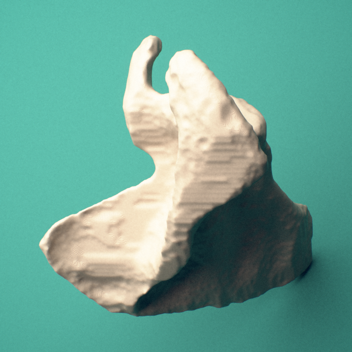 3D-printed Right scapula (shoulder blade), anterior view showing the overall shape.